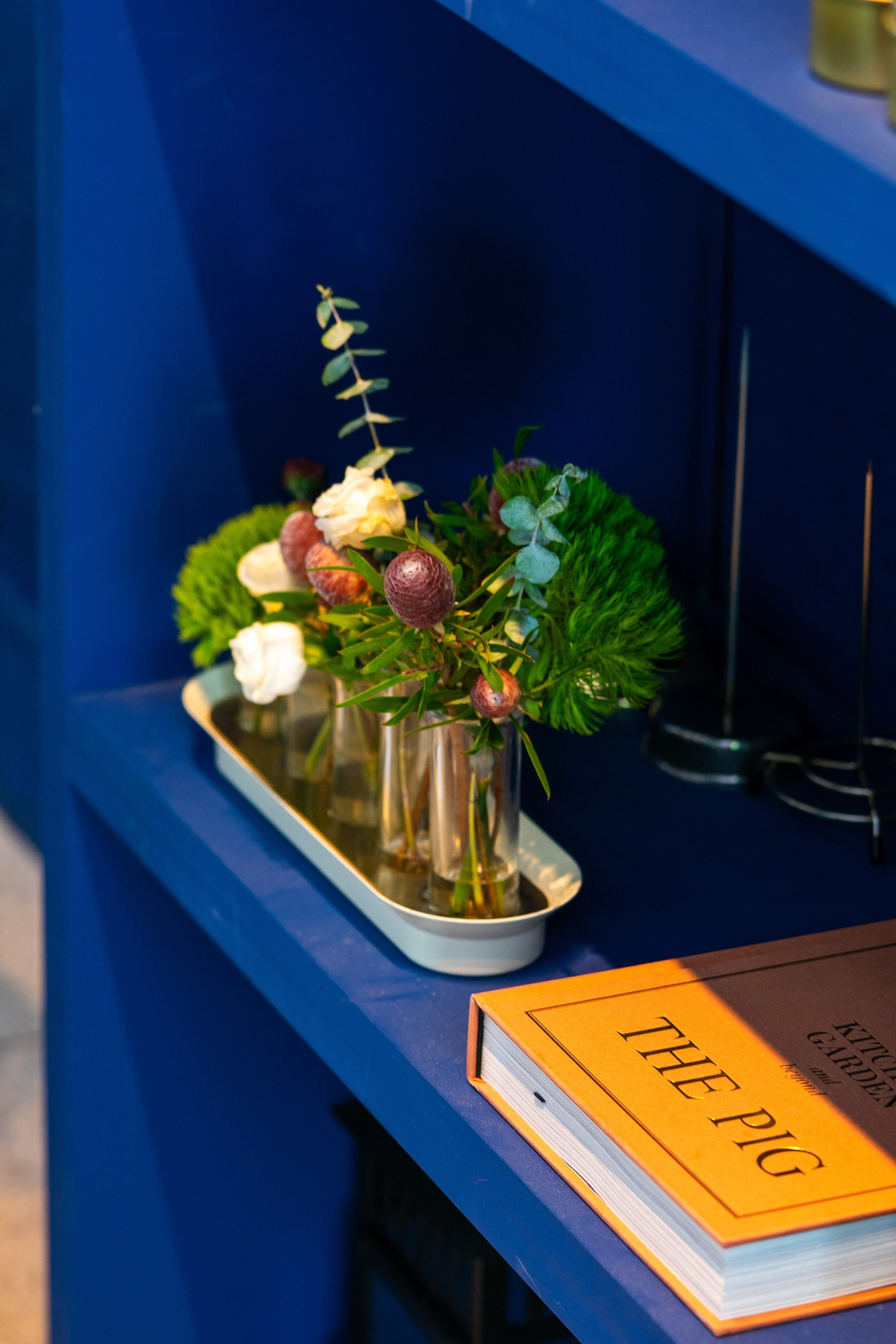 Borboleta. Мария Шер. Профессиональный фотограф в городе Порту, Португалия