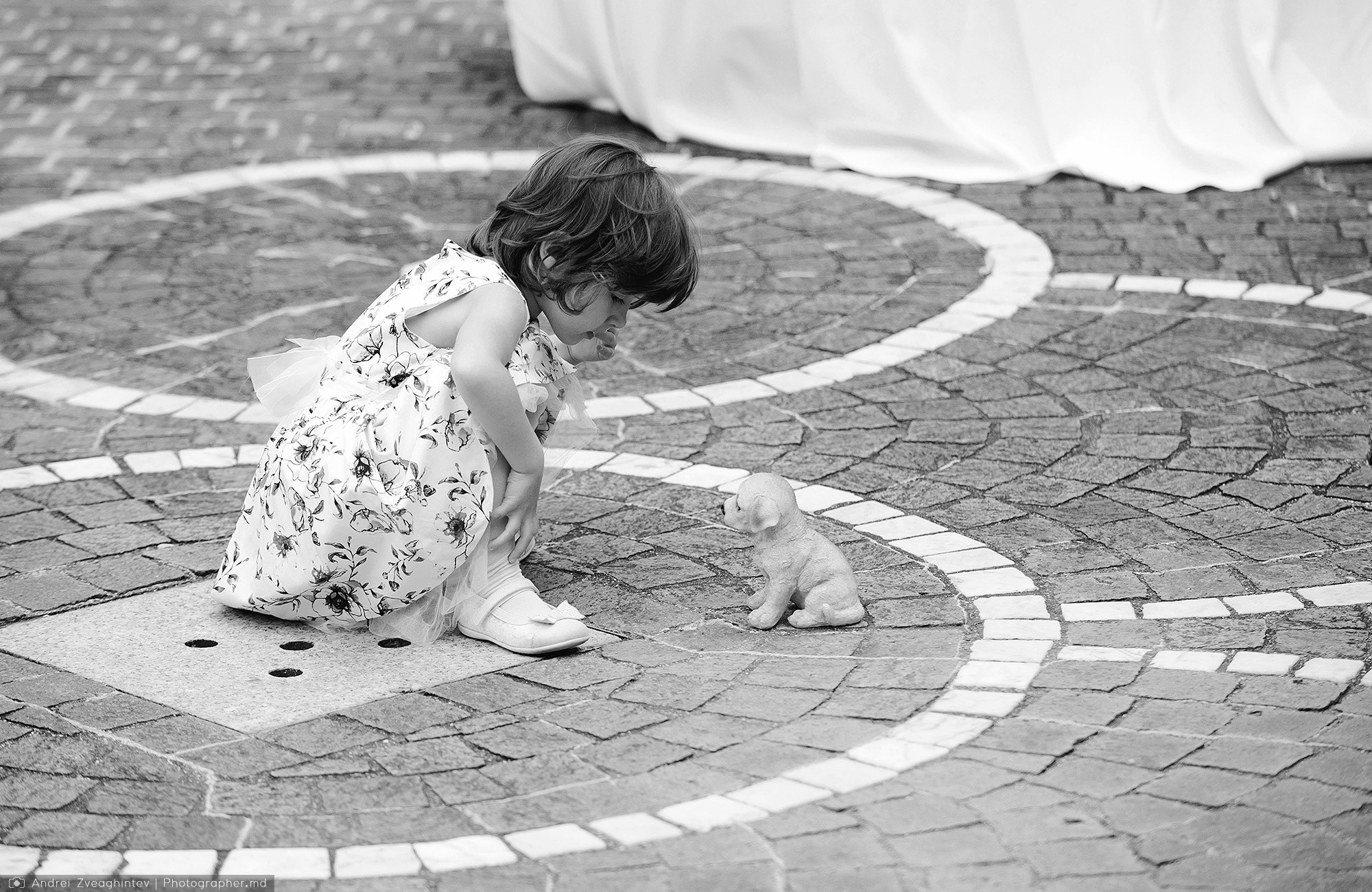 Nunta in Verona, Italia - fotograf la nunta Andrei Zveaghintev. Fotograf nunta si familie in Moldova, Chisinau - Andrei Zveaghintev