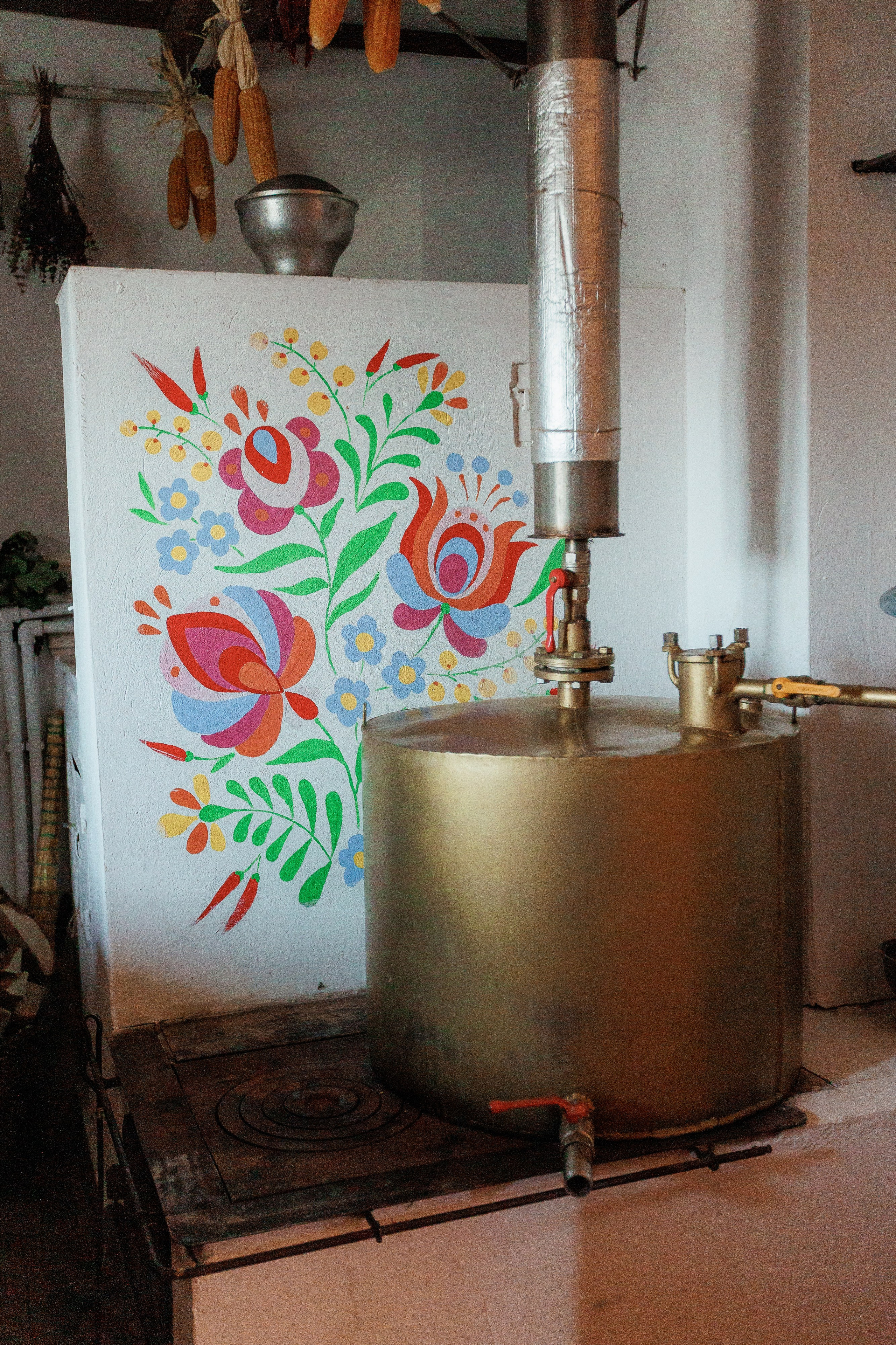 Екопарк Аміла. Ірина Терещук