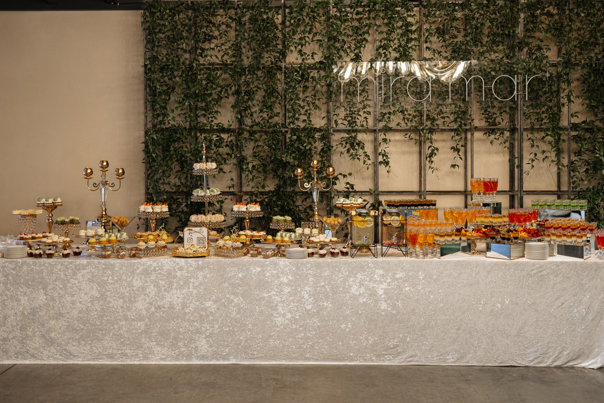 Diana Vlad. Ірина Терещук