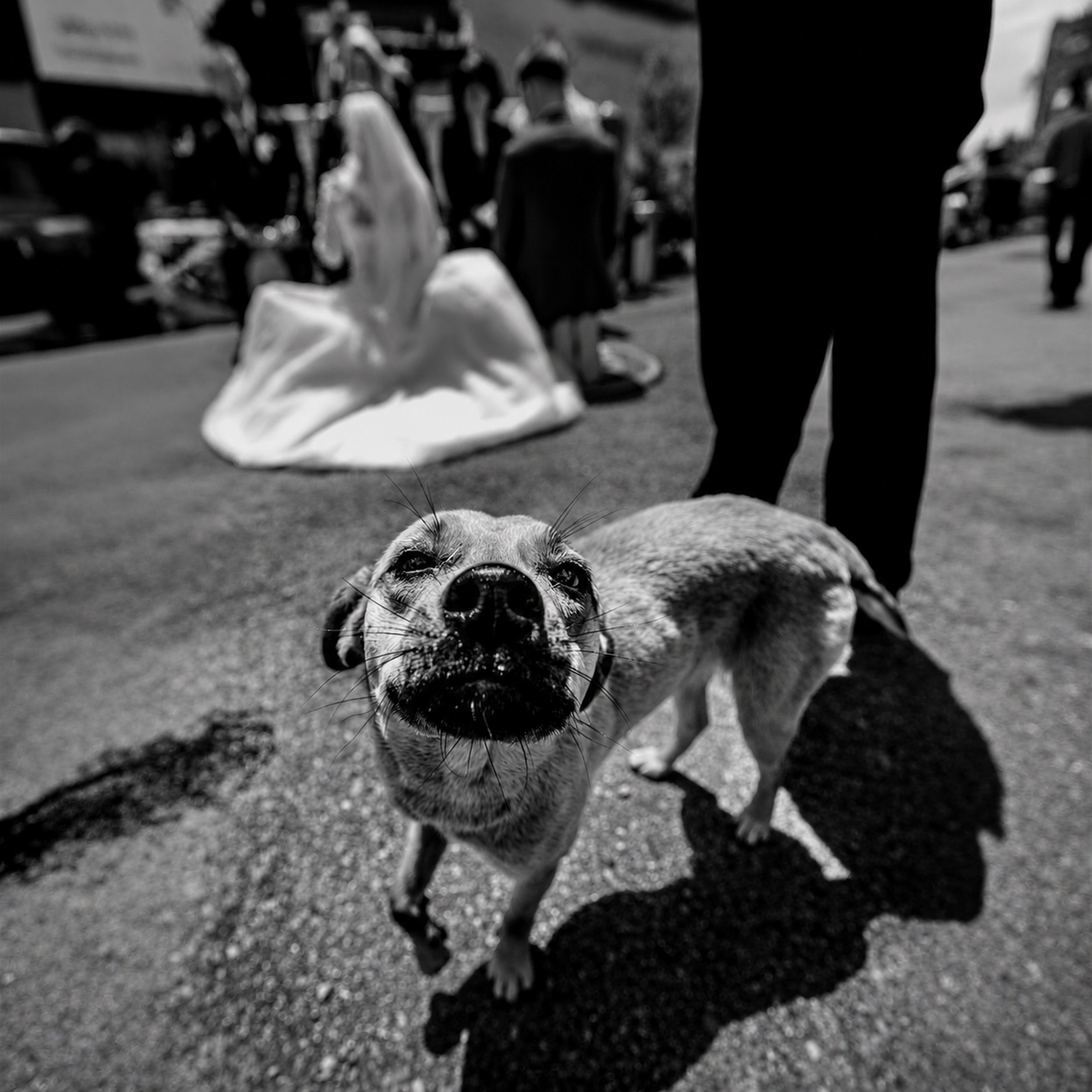 Wedding Stories. MCrisStudio