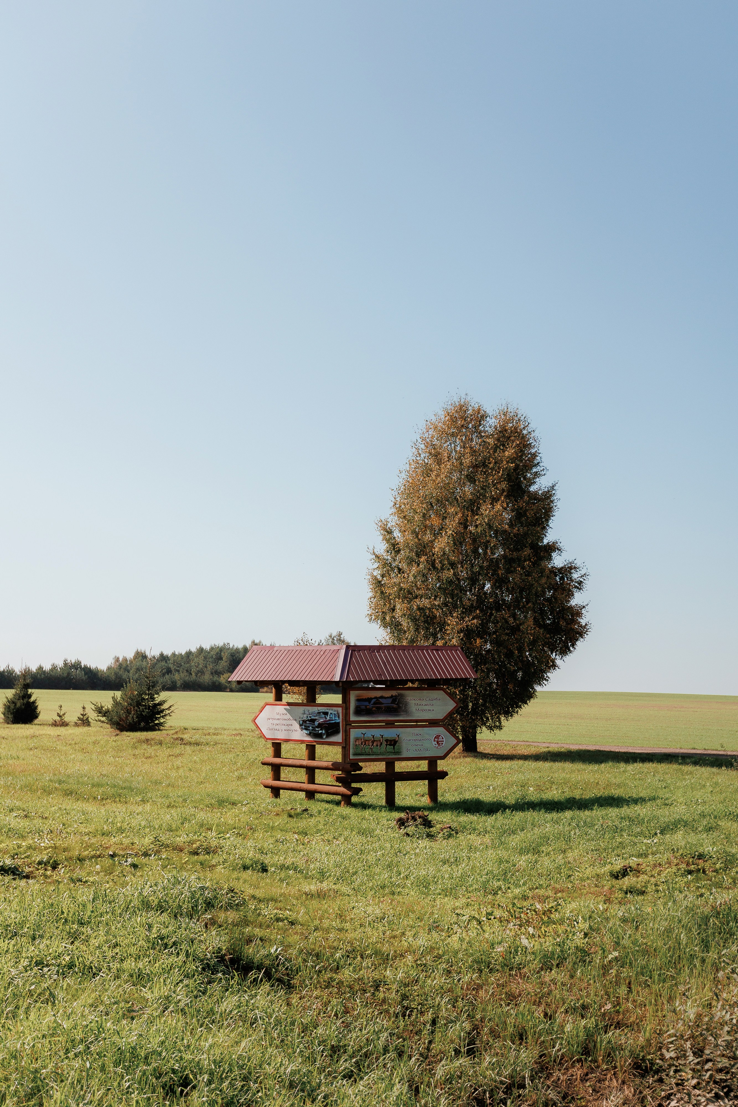 Екопарк Аміла. Ірина Терещук