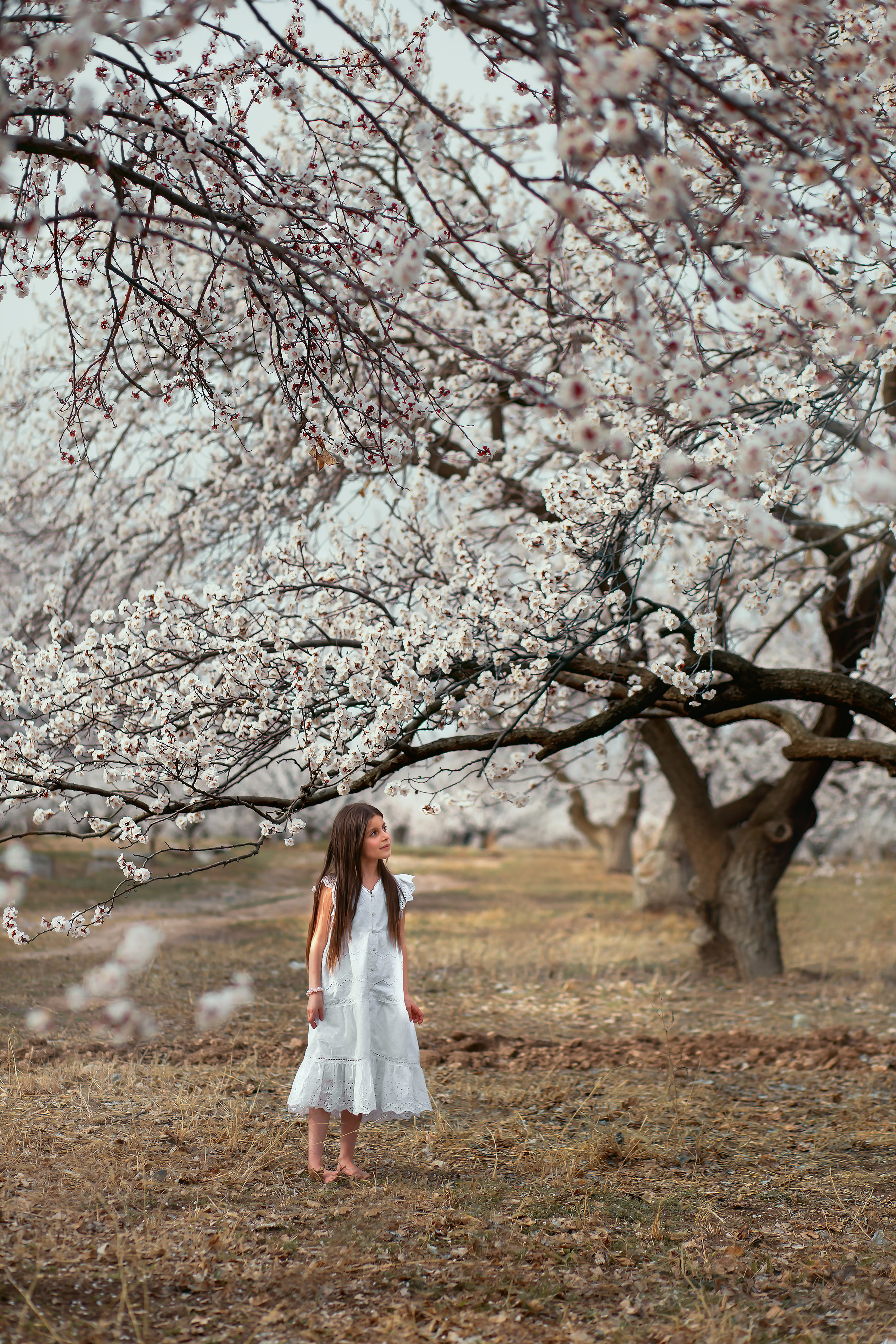 Дети. Детский и семейный фотограф Армения, Грузия