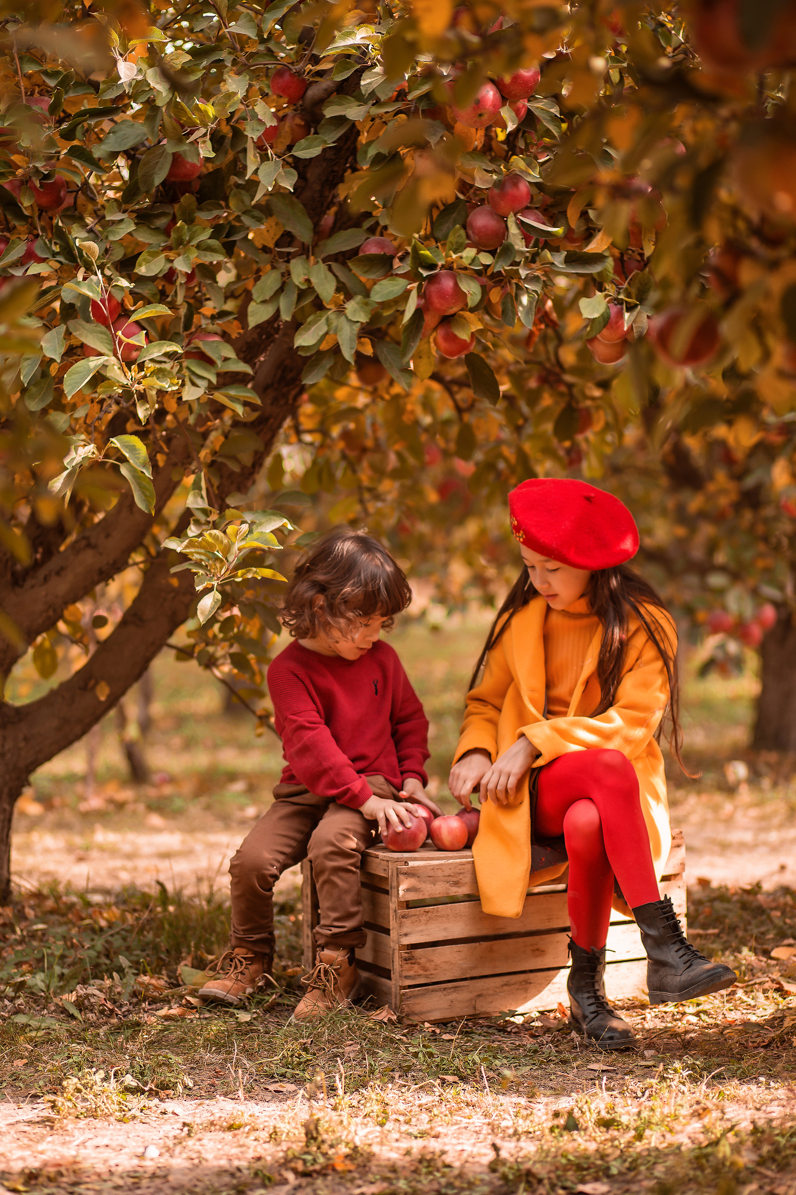 🙠🙢. Детский и семейный фотограф Армения, Грузия