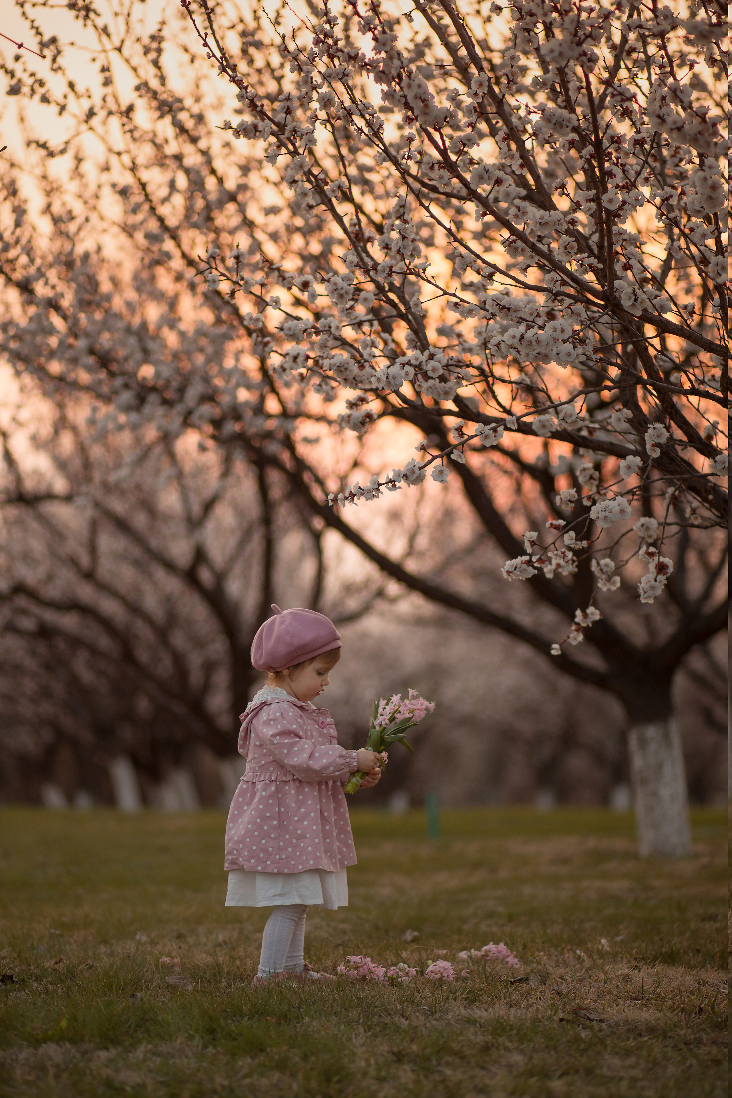 Дети. Детский и семейный фотограф Армения, Грузия