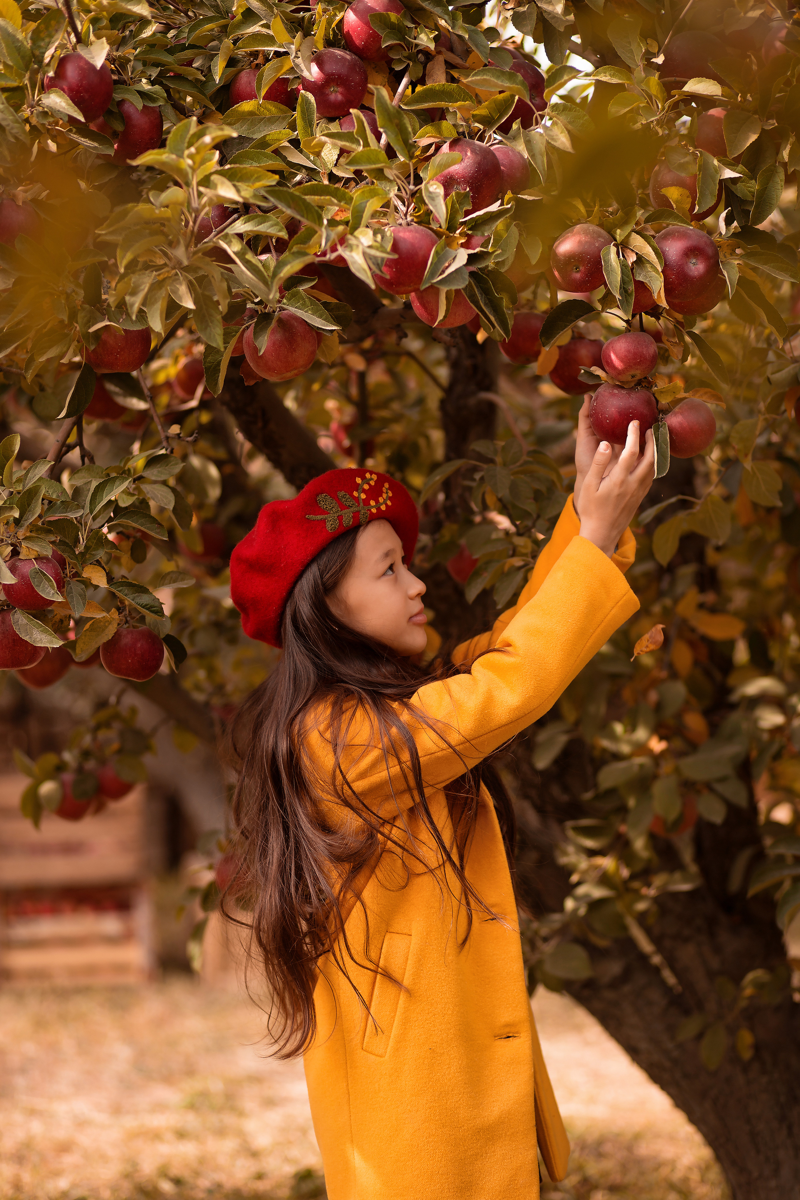 🙠🙢. Детский и семейный фотограф Армения, Грузия