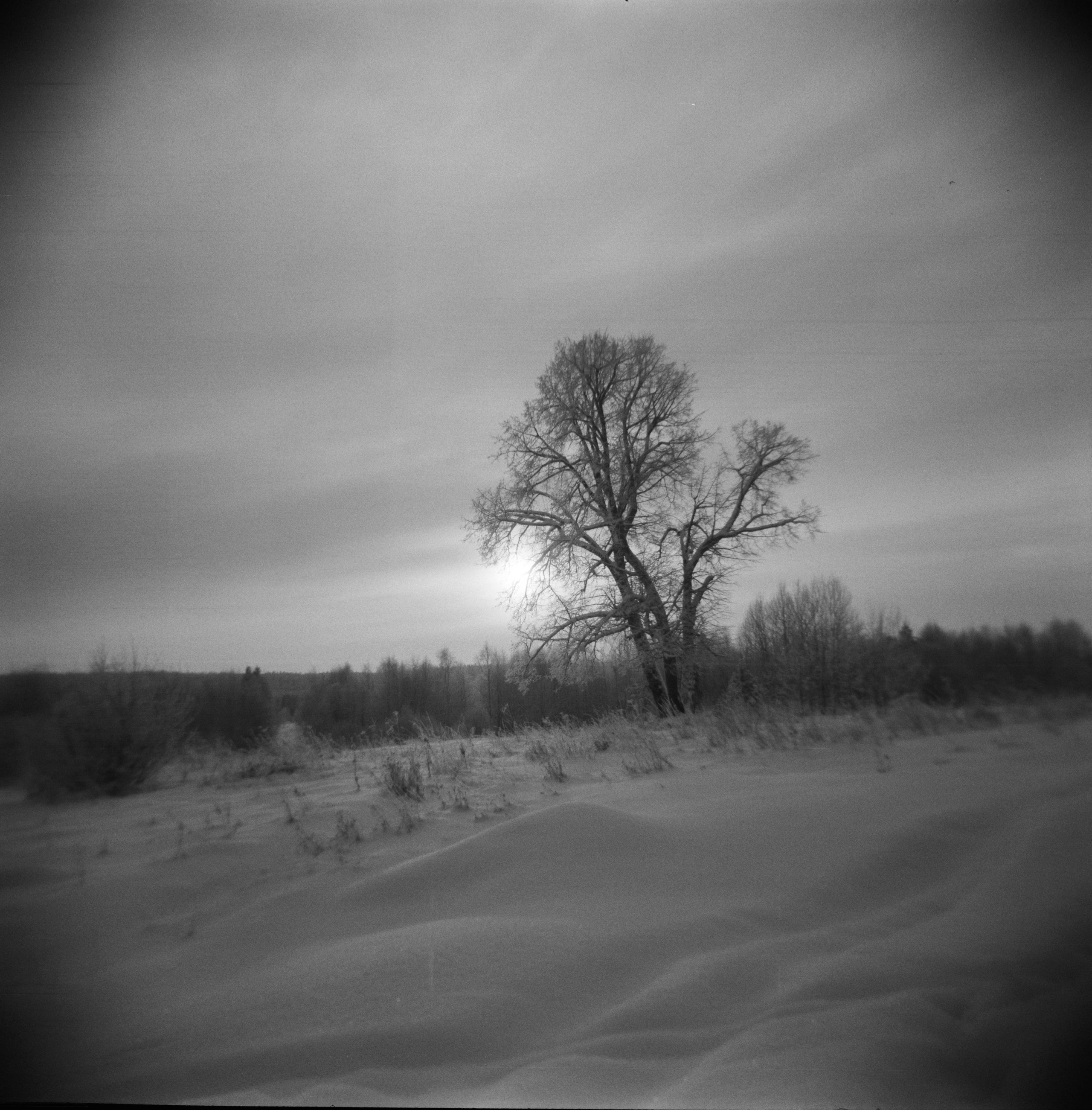 FADE. «Фотохроники»