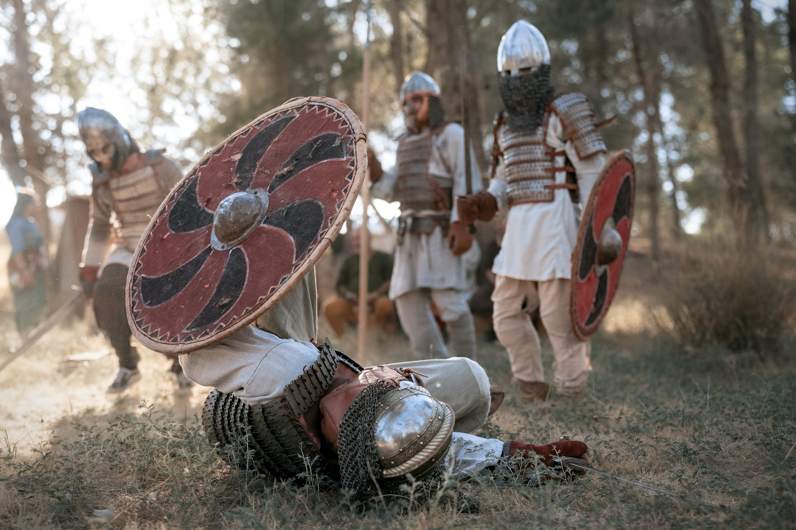 Клуб «Нортман» — услуги и проекты по реконструкции викингов в Израиле. КРиС «Нортман»