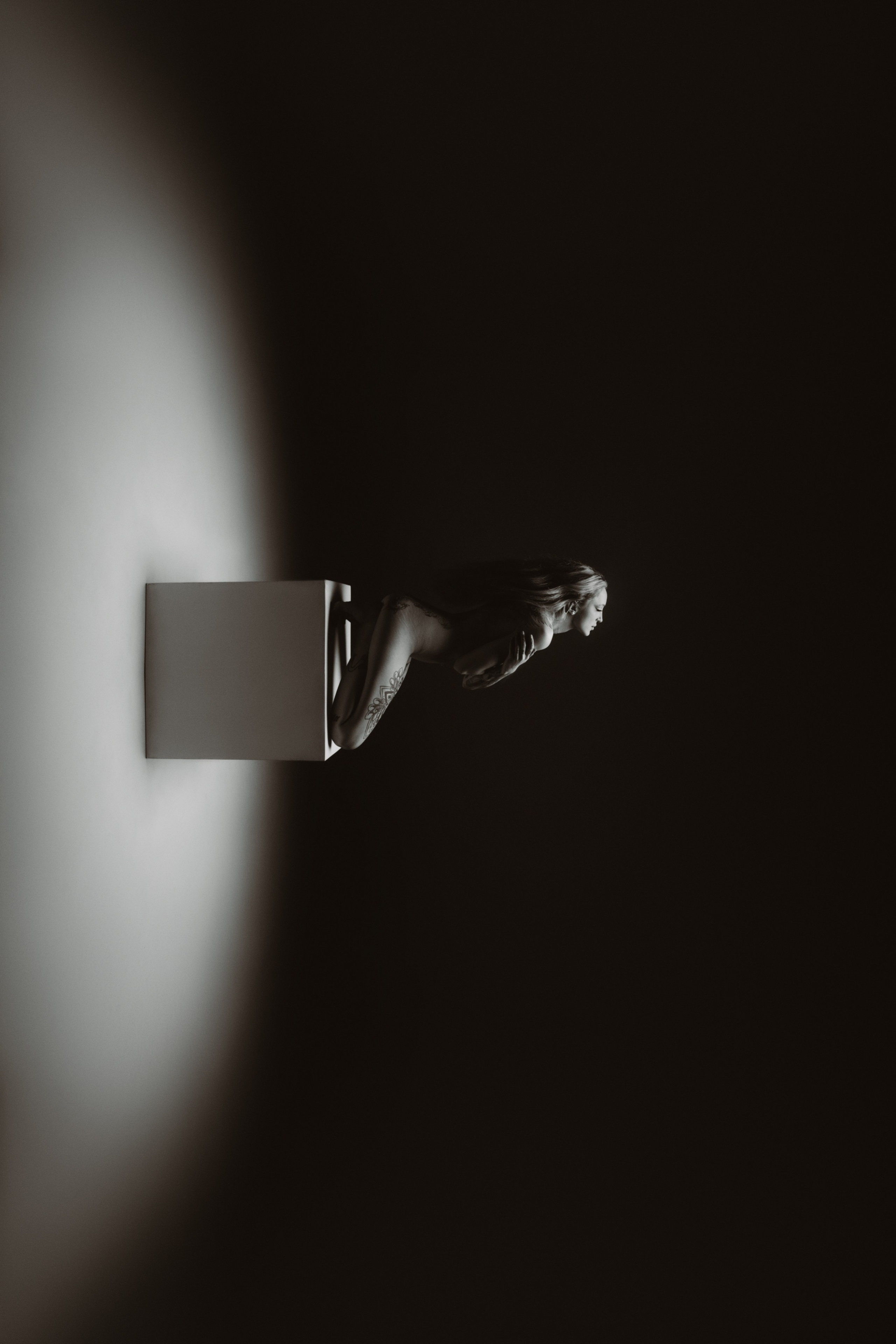 Fine Art. Mike Avelli