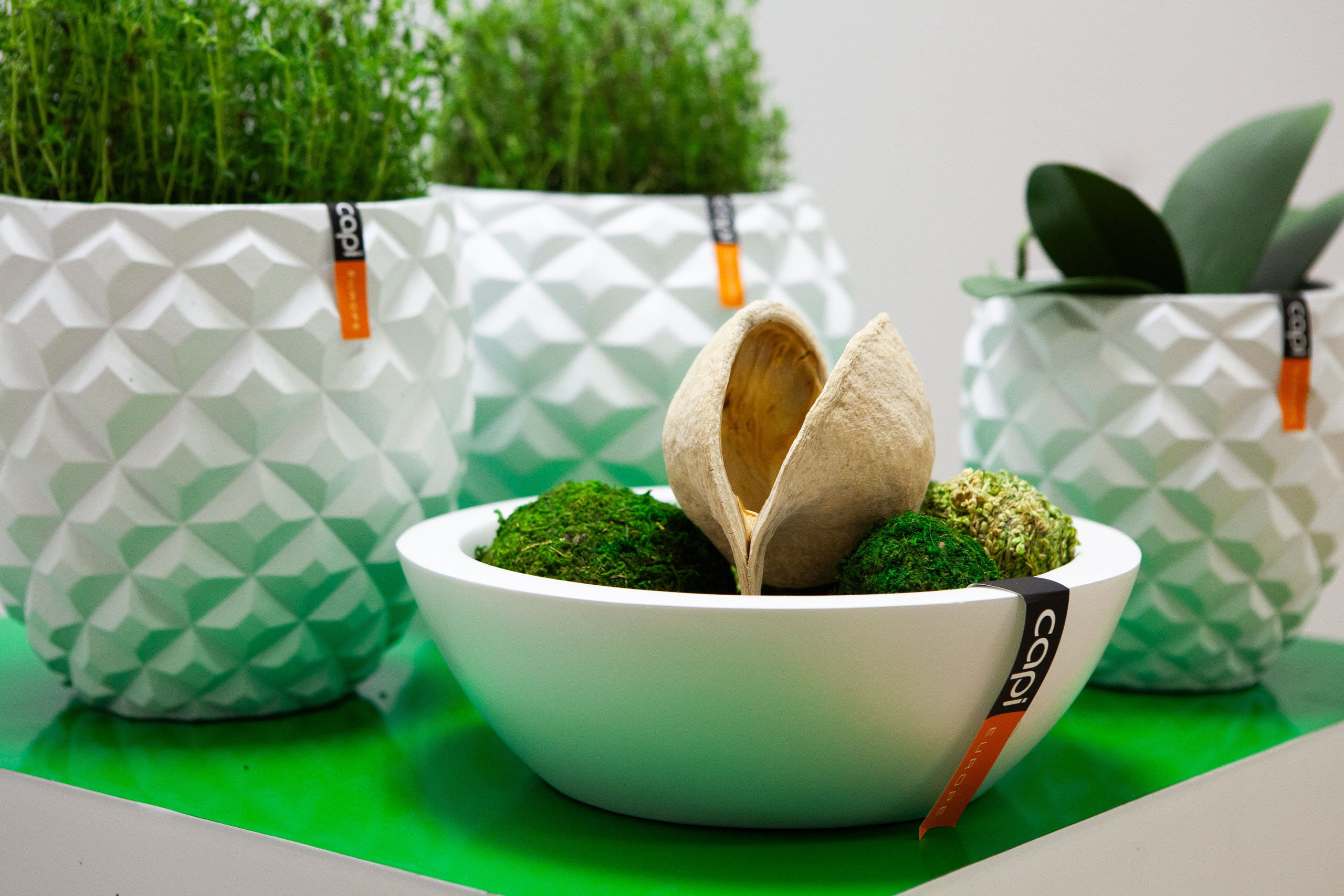 Предметы. Фотограф Шалаев Дмитрий