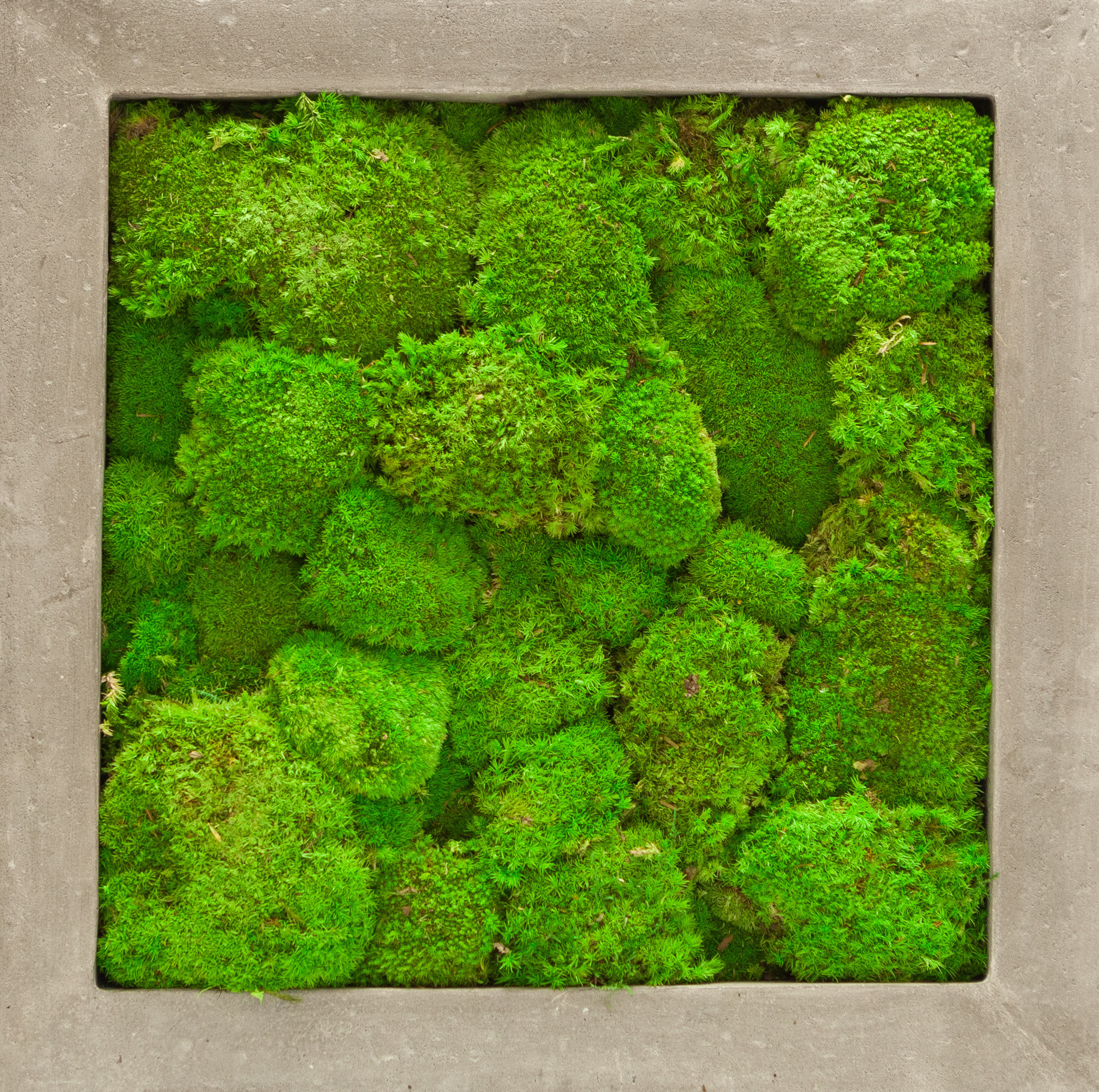 Предметы. Фотограф Шалаев Дмитрий