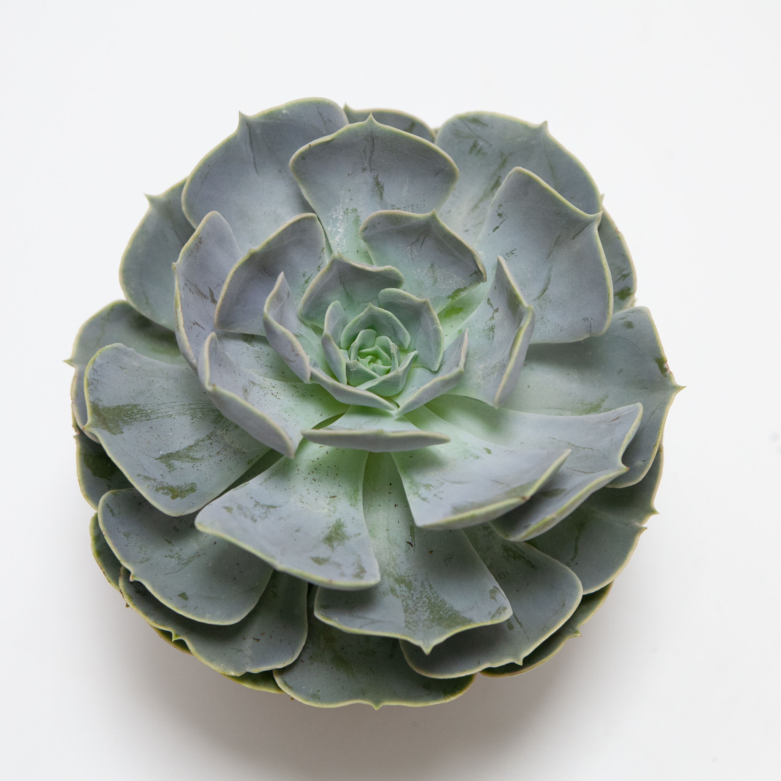 Предметы. Фотограф Шалаев Дмитрий