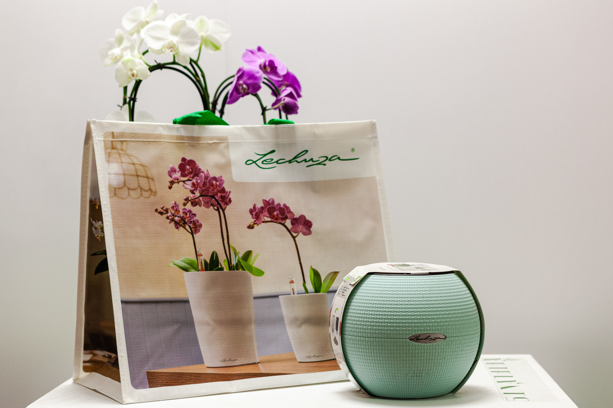 Предметы. Фотограф Шалаев Дмитрий