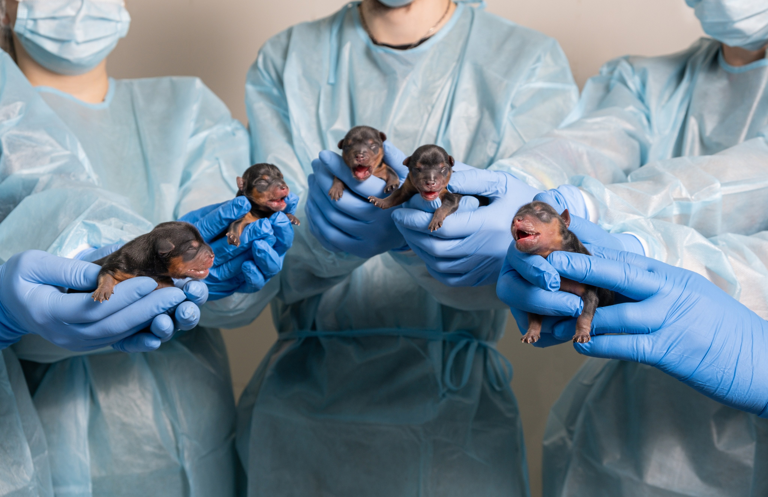 Ваш відеограф для будь яких подій