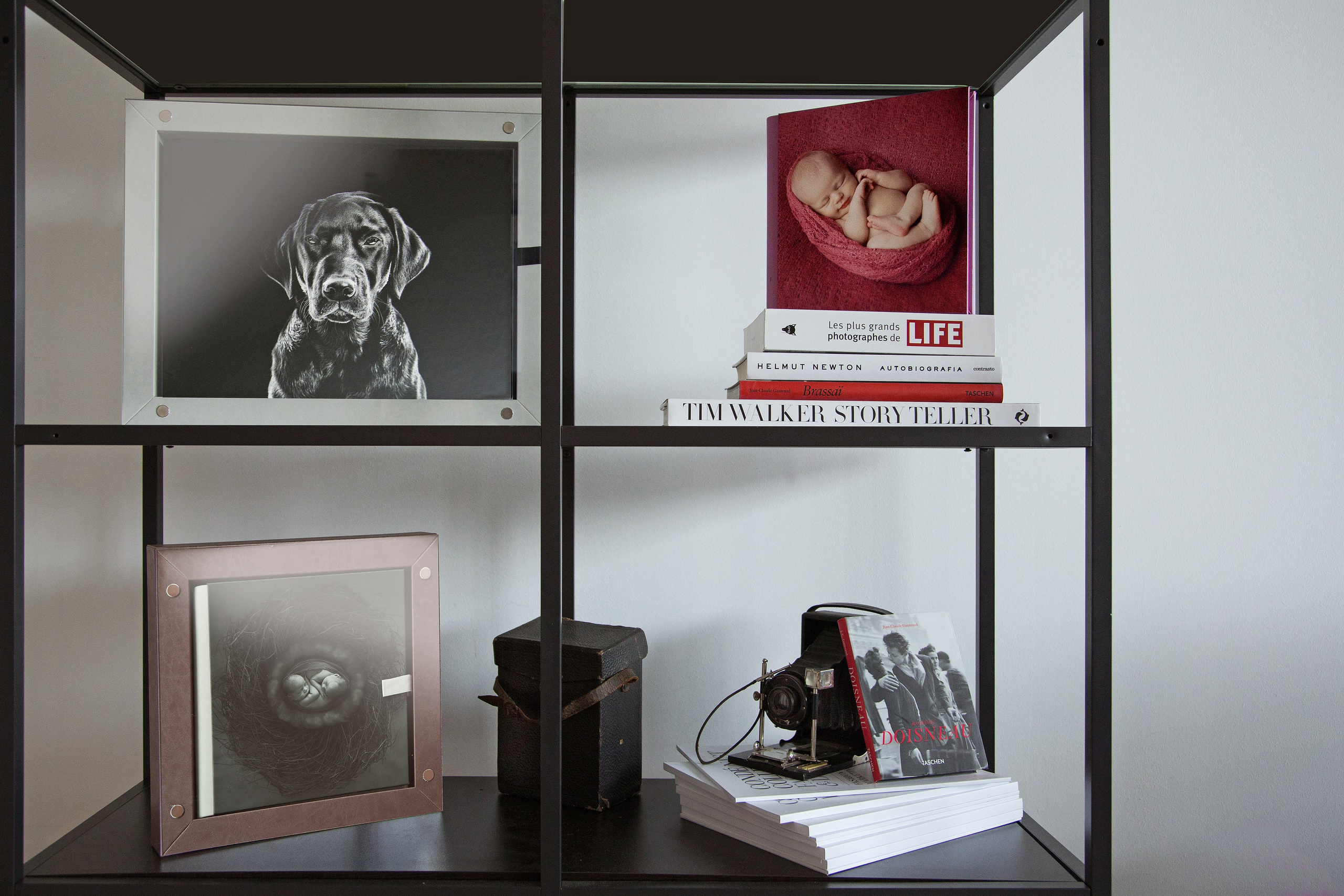 Gobook. Fotografo di matrimonio ed eventi ad ariano irpino