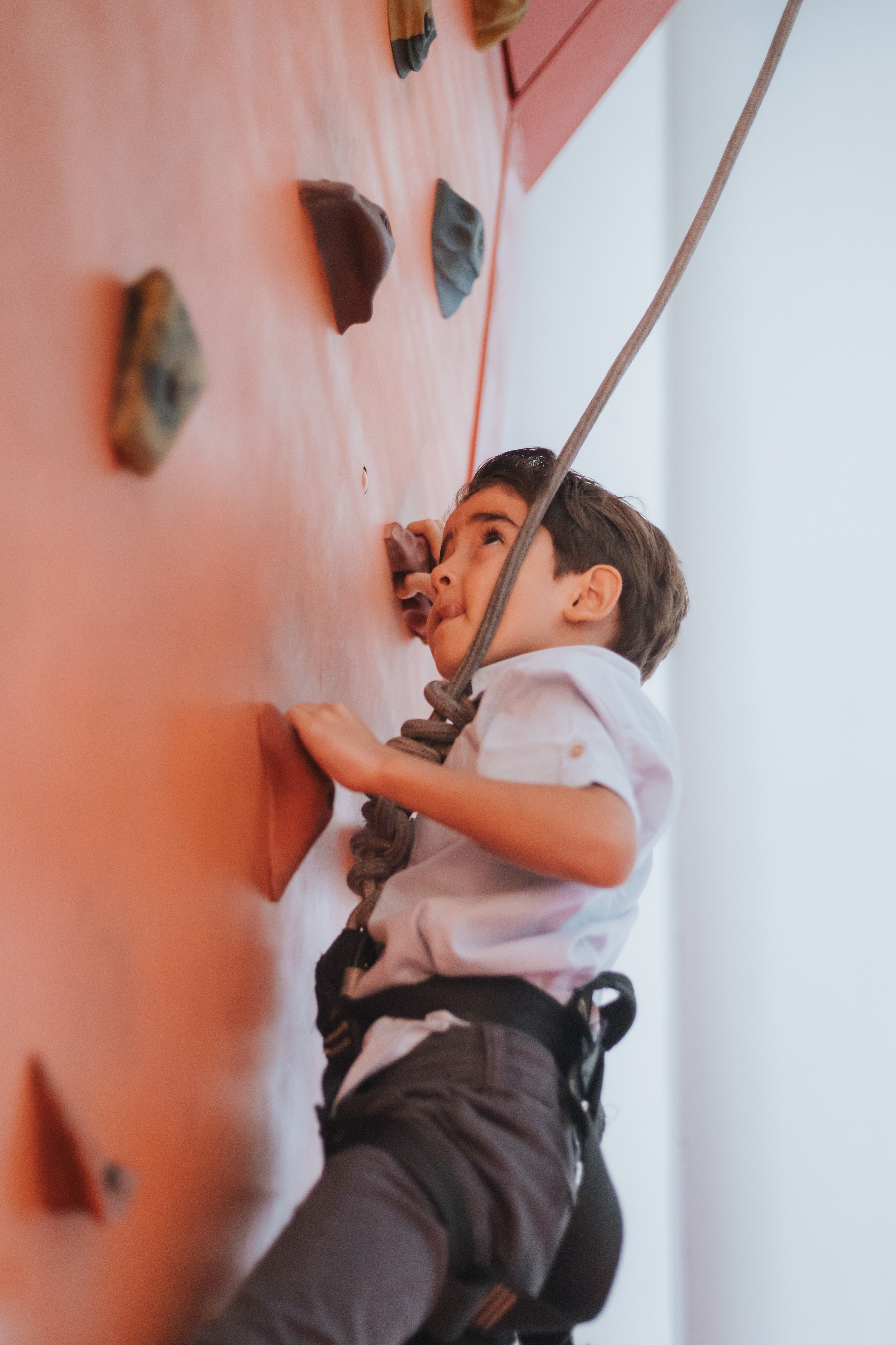 ANIVERSÁRIOS. INÍCIO