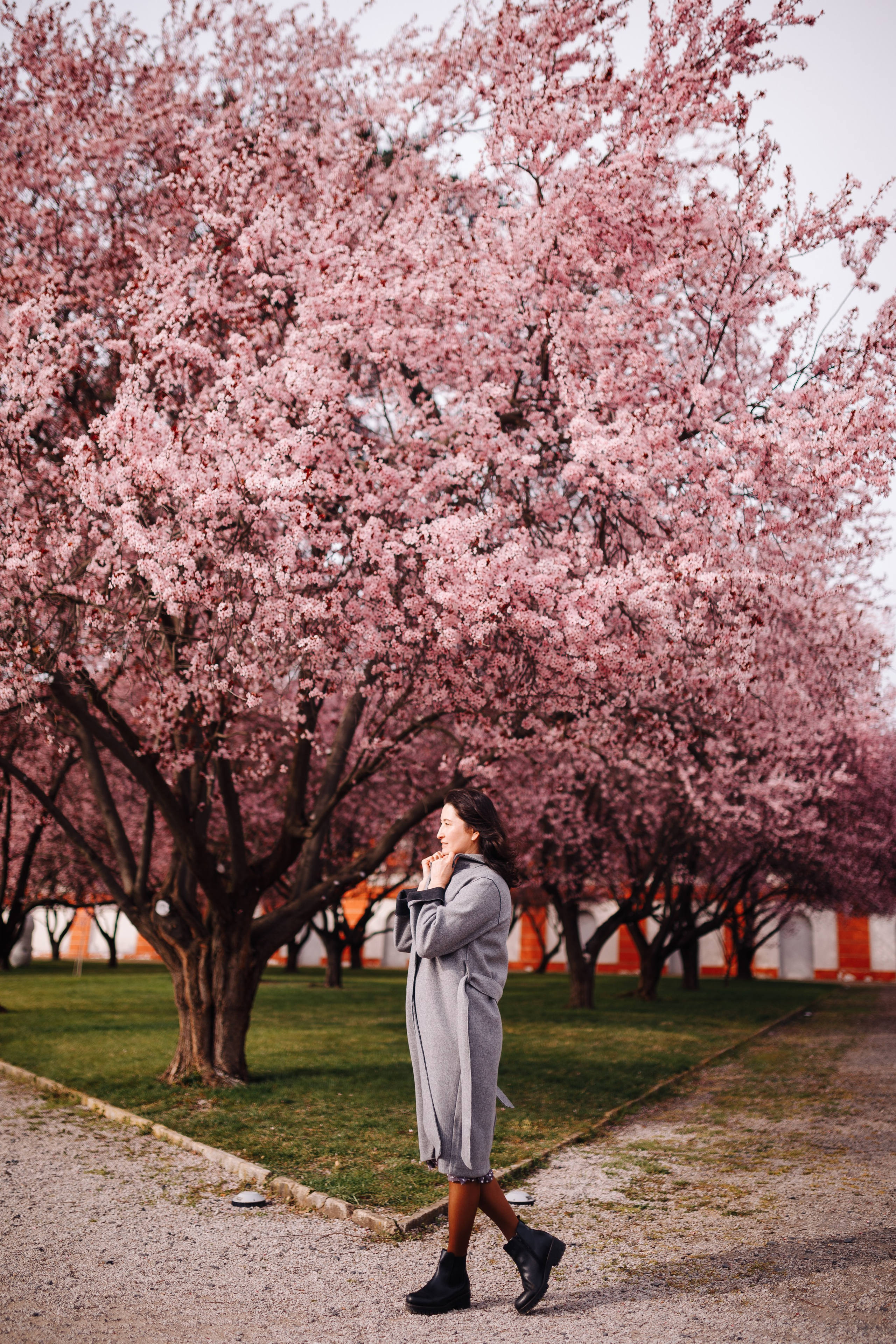 Aislu. Photographer in Prague for tourists