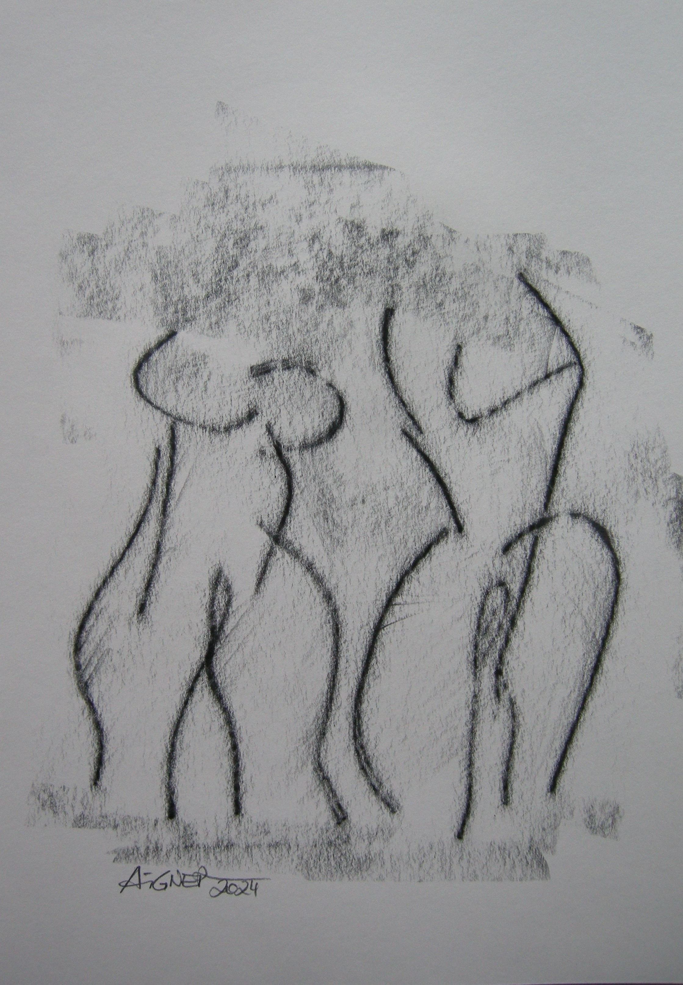 Akt 2024 - 20x30