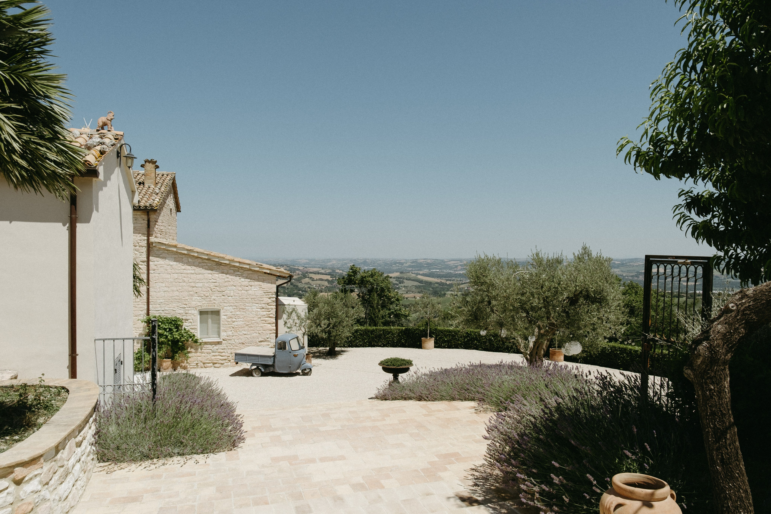 Sofia&Falk. Весільний фотограф Вікторія Саврук