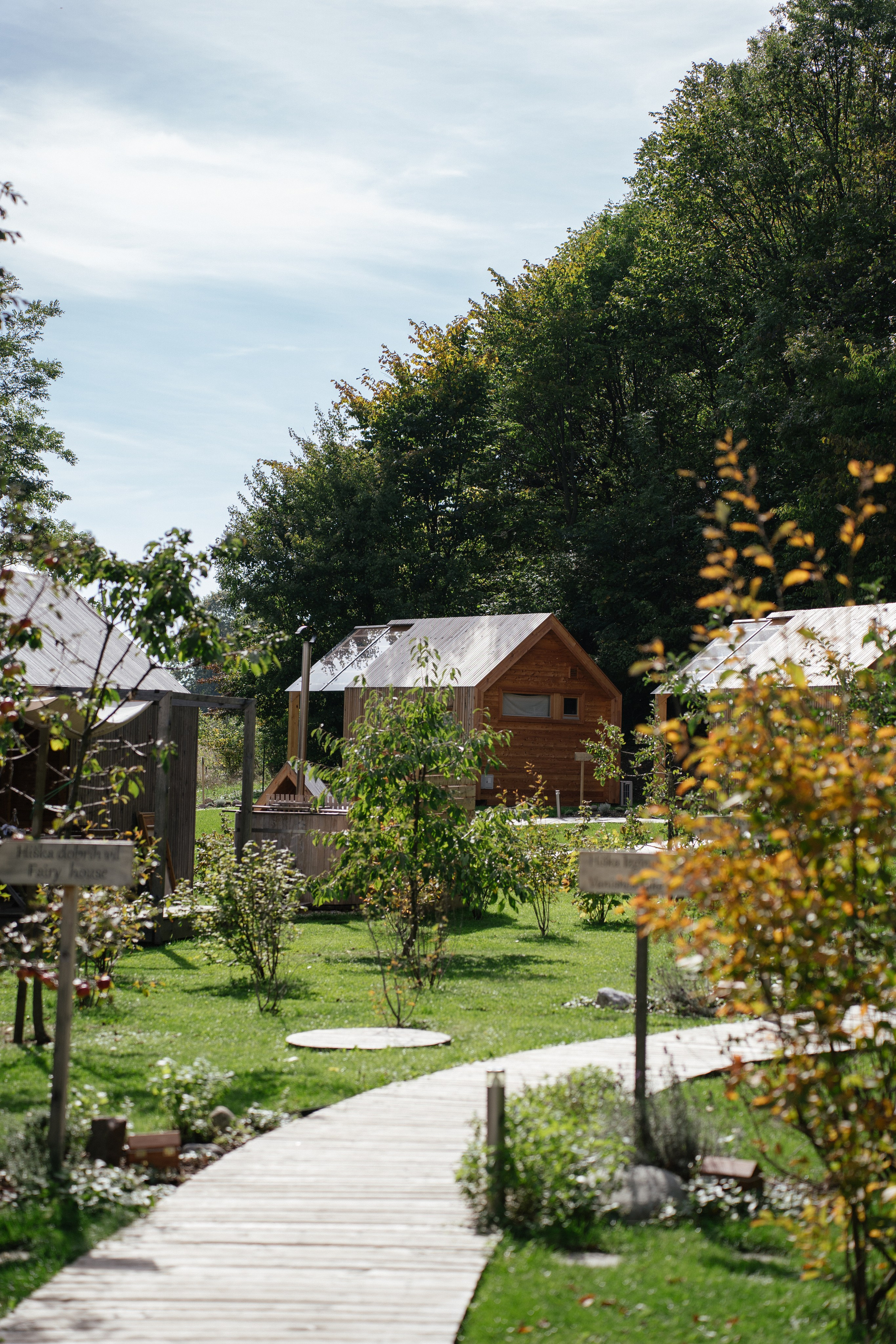 Airbnb. Patricia Morenci — Mountain Adventures for the Wild at Heart