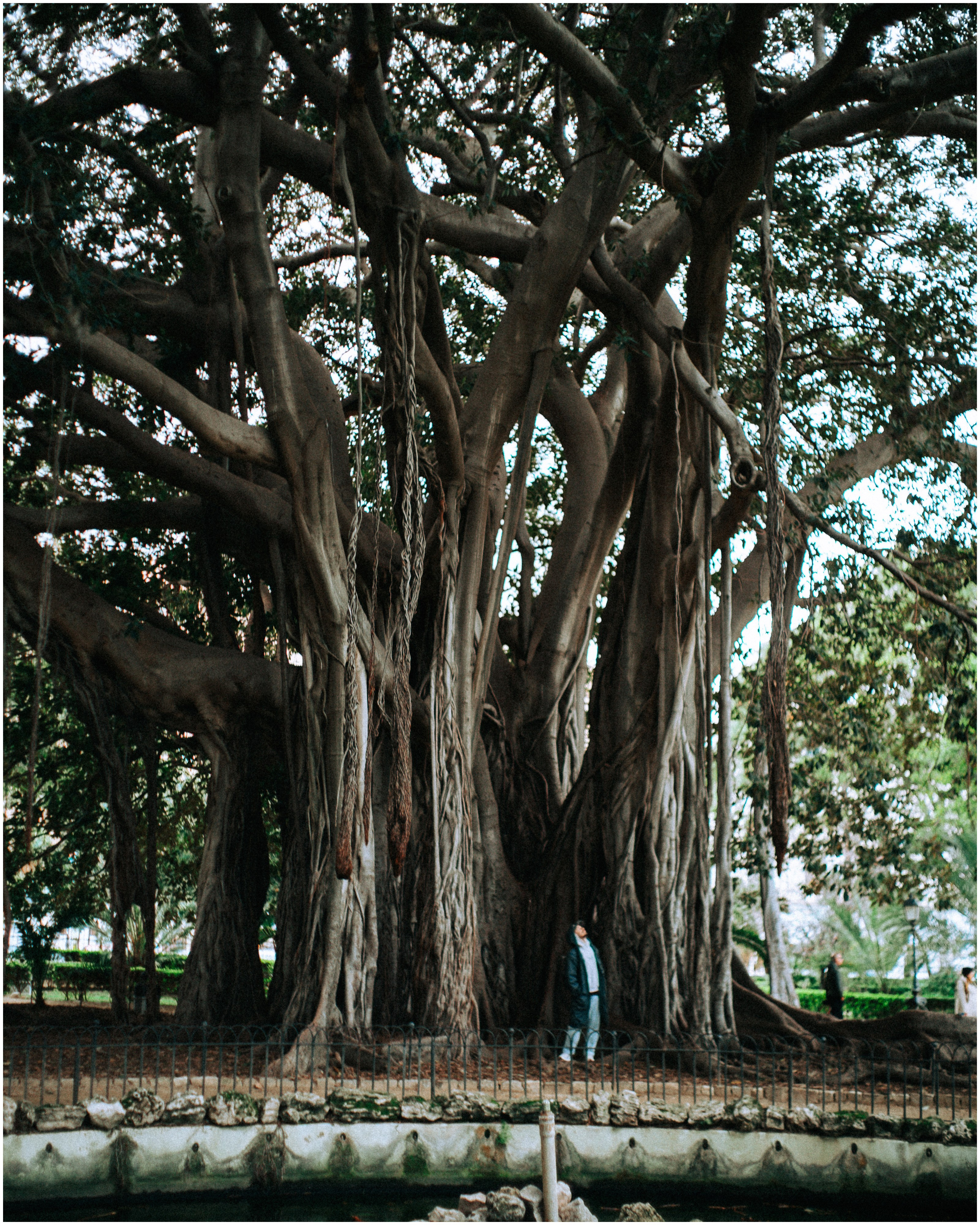 PALERMO. Photographer Inna Mendelson