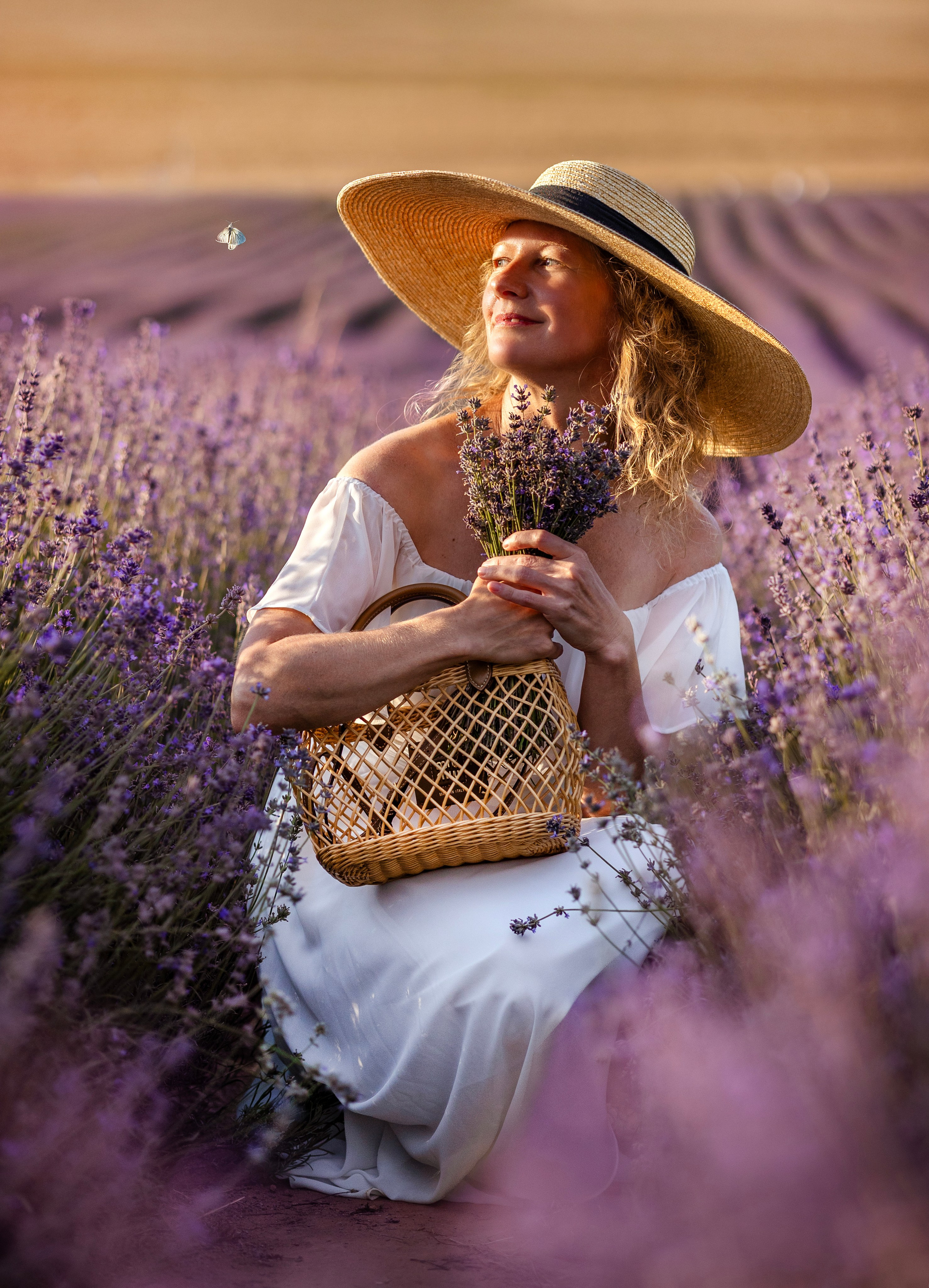 Lavendel. Photographer in Munich