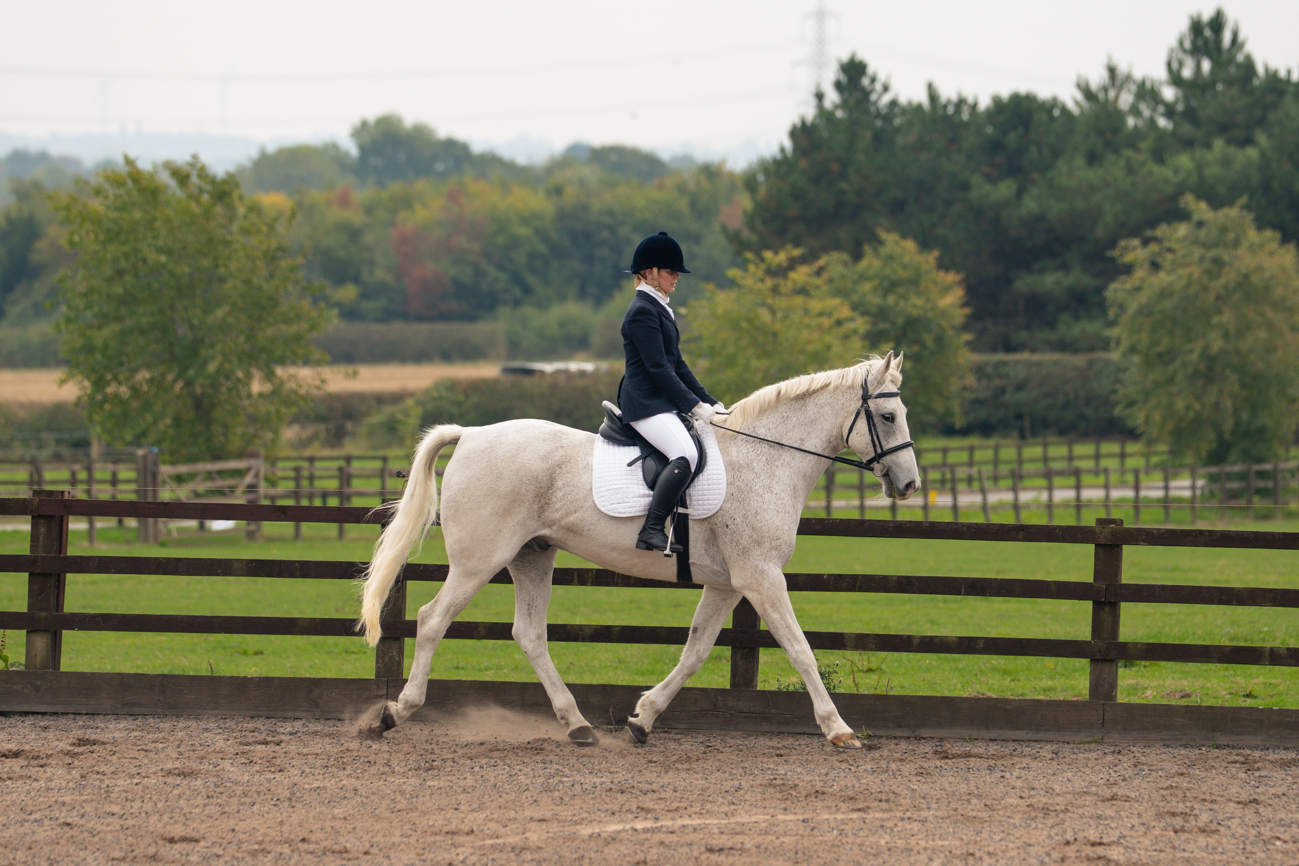 Dressage. Leicestershire Equine Photography by El | Authentic Equine Portraits & Events