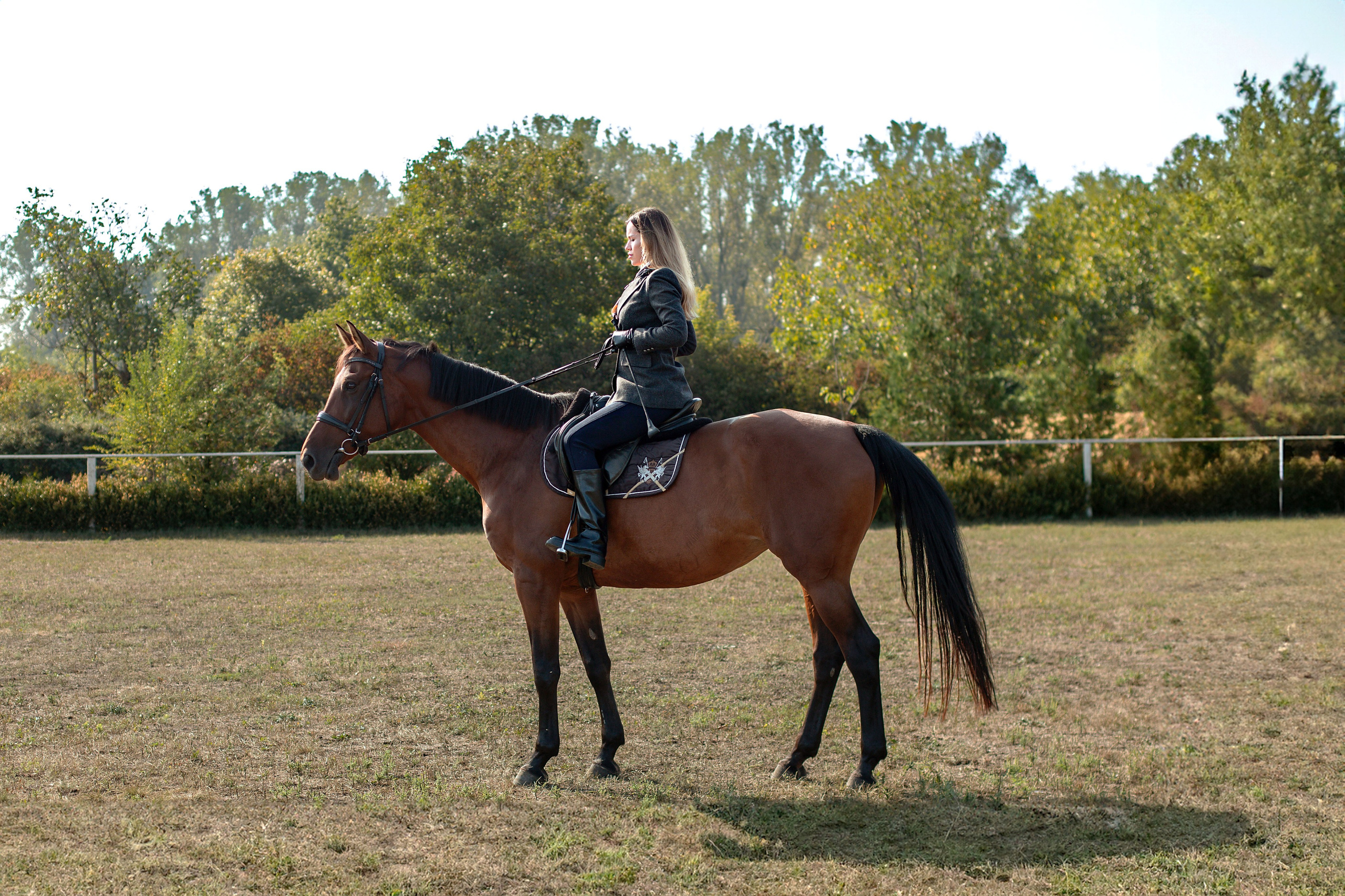 Конюшня. Детский и семейный фотограф в г. Бельцы