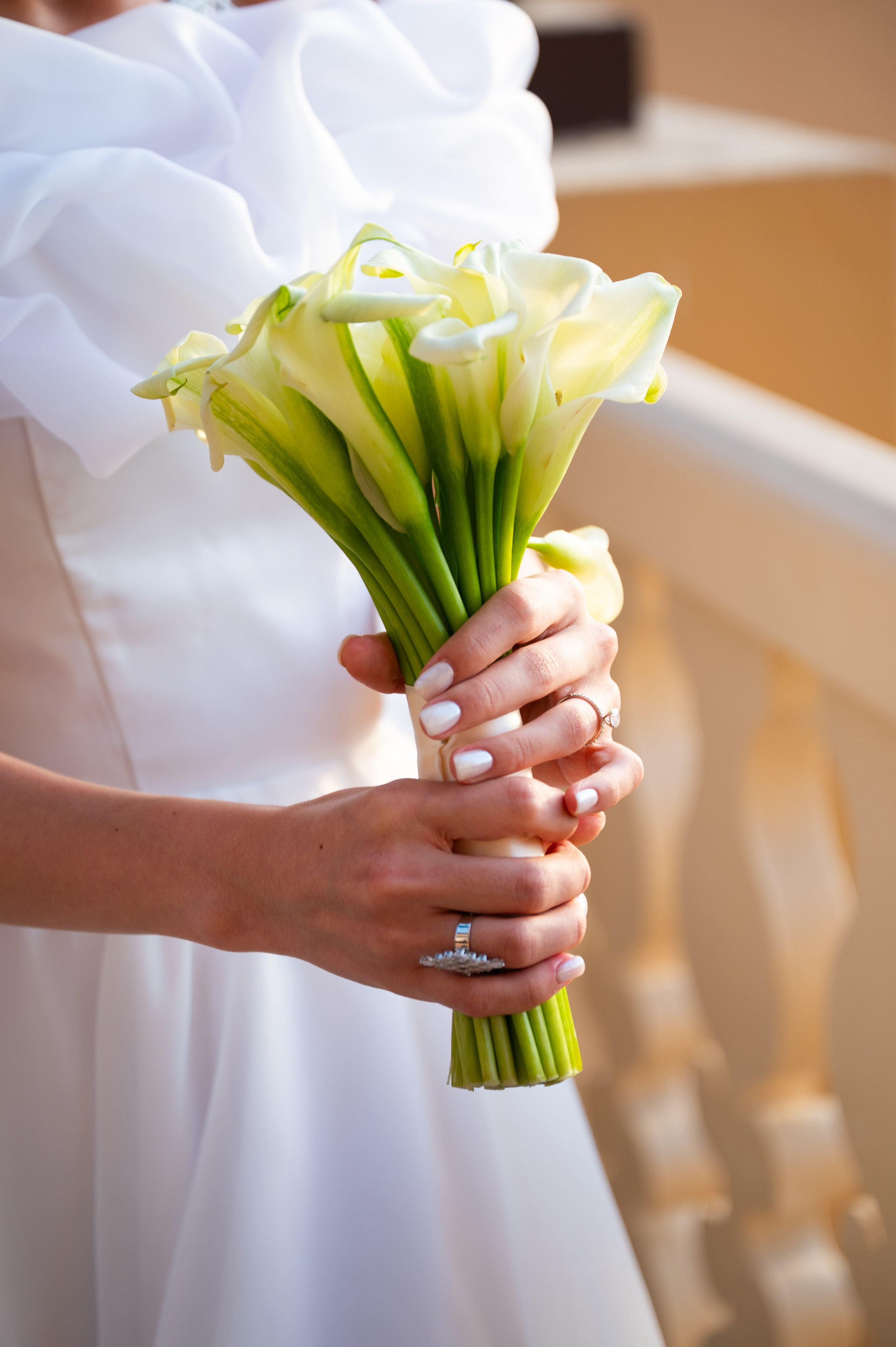 Wedding & Portraits. Igor Solodkii | Dubai Photo & Video — Real Estate, Events, Food, Studio