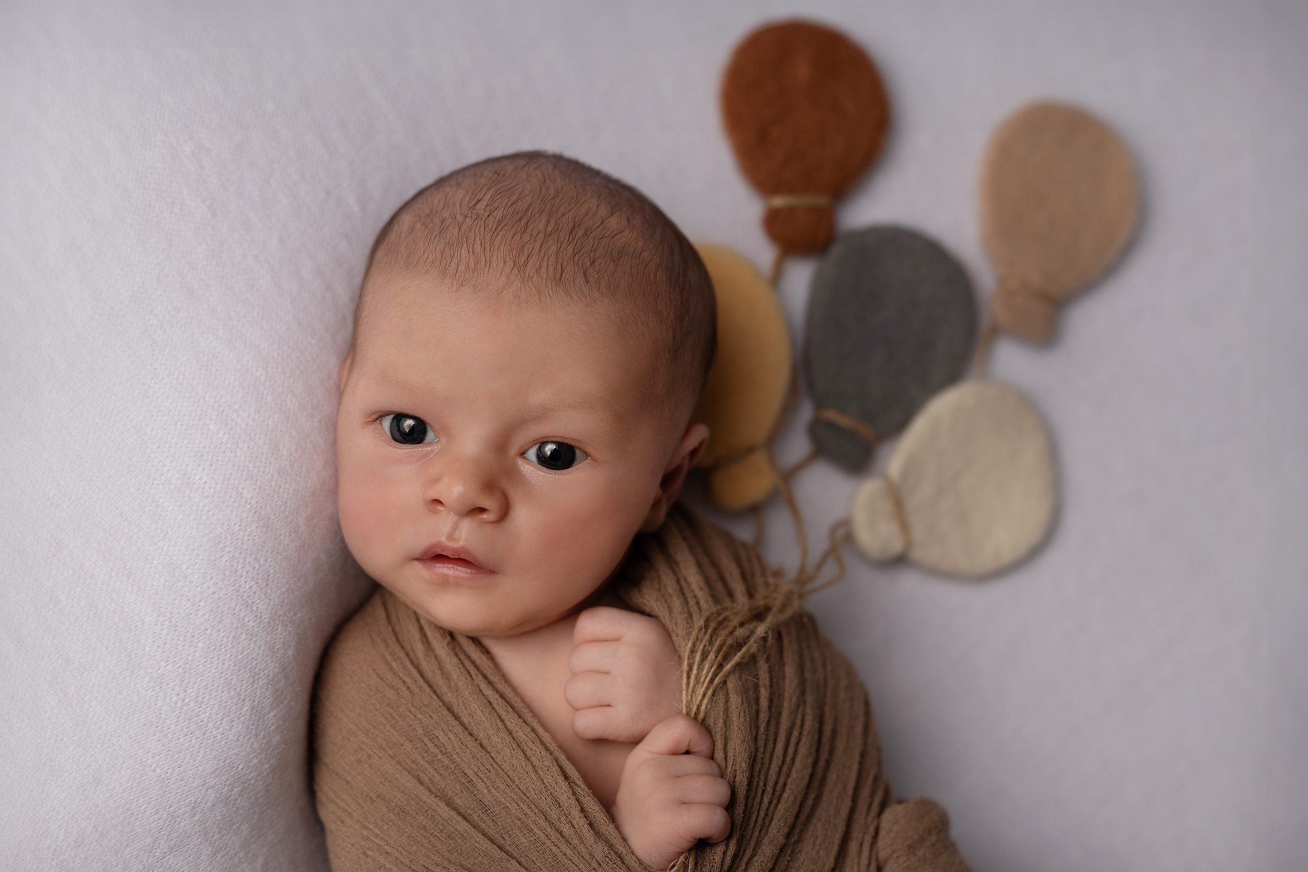 Family and newborn photographer