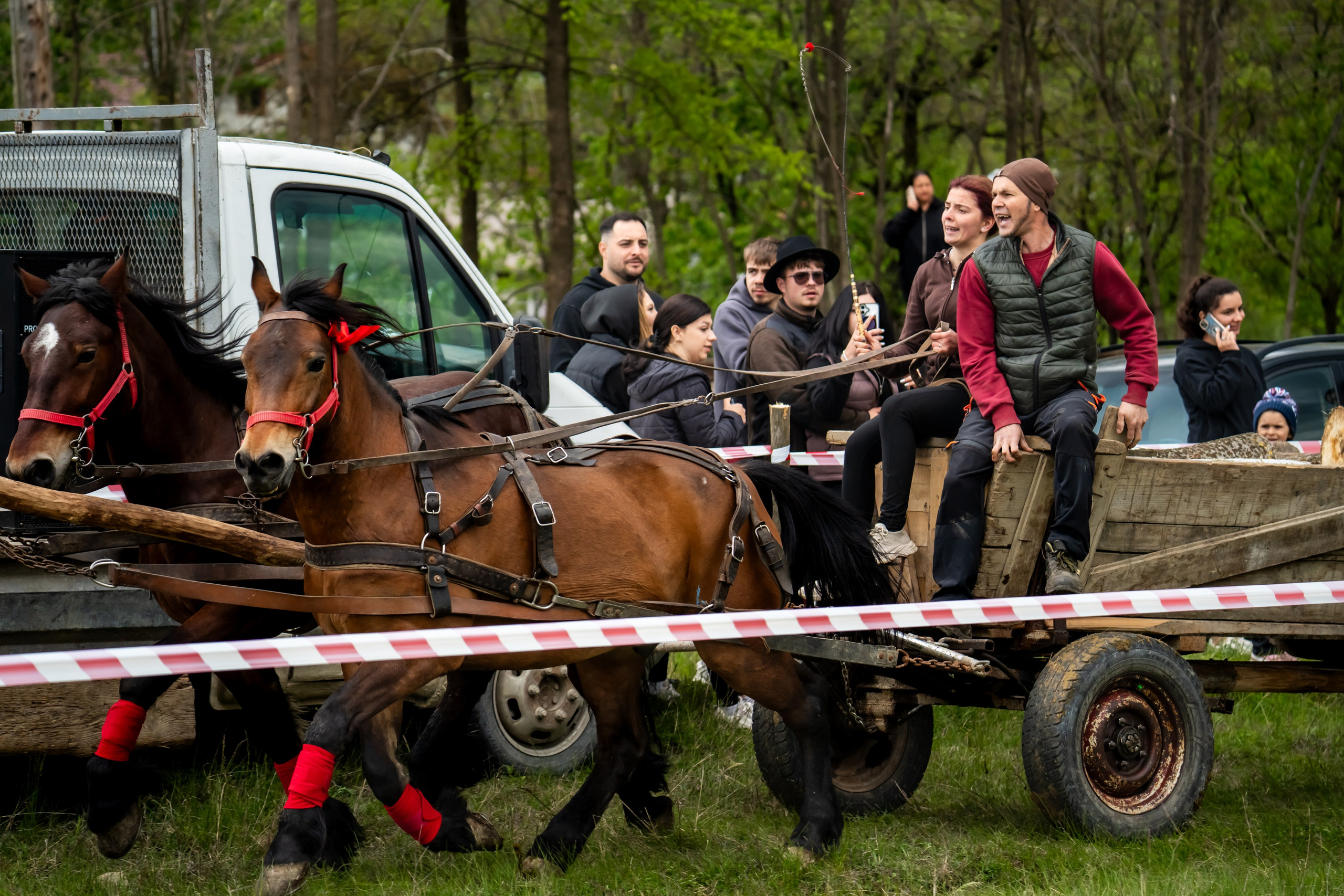 Concurs Ecvestru Vărbilău ediția a 4-a. Mihai Alexandra Events