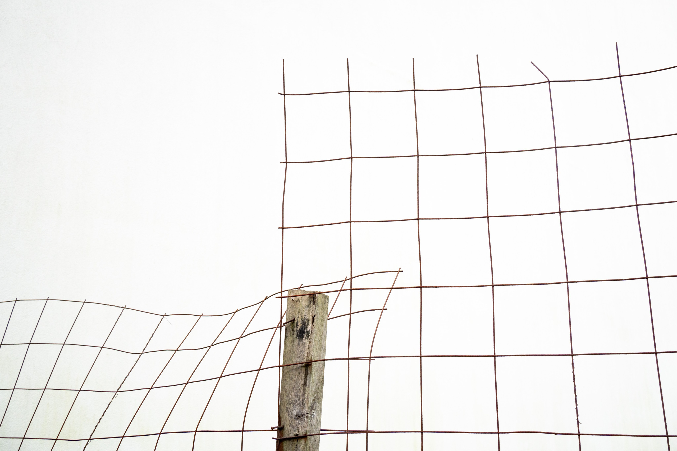 Street. Maria Sher. Professional photographer from Porto, Portugal