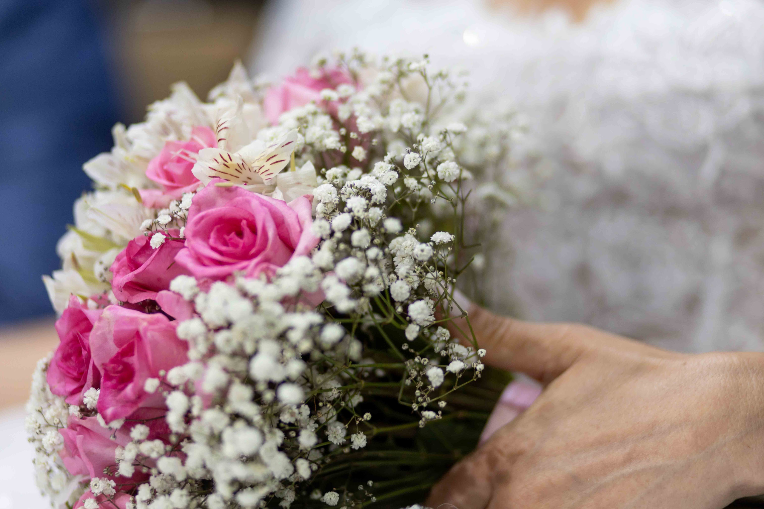 Valeria e Ramon. Bem-vindo ao Meu Mundo Fotográfico