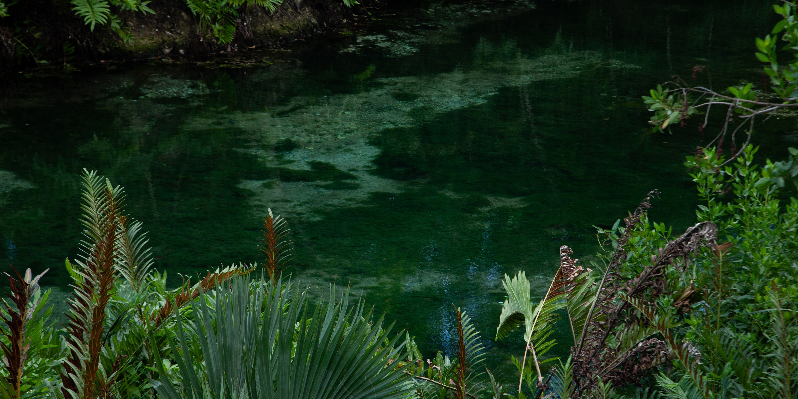 MAYACOBA. Lero Photographer and a set designer|individual custom portrait and advertising photography in Zutphen