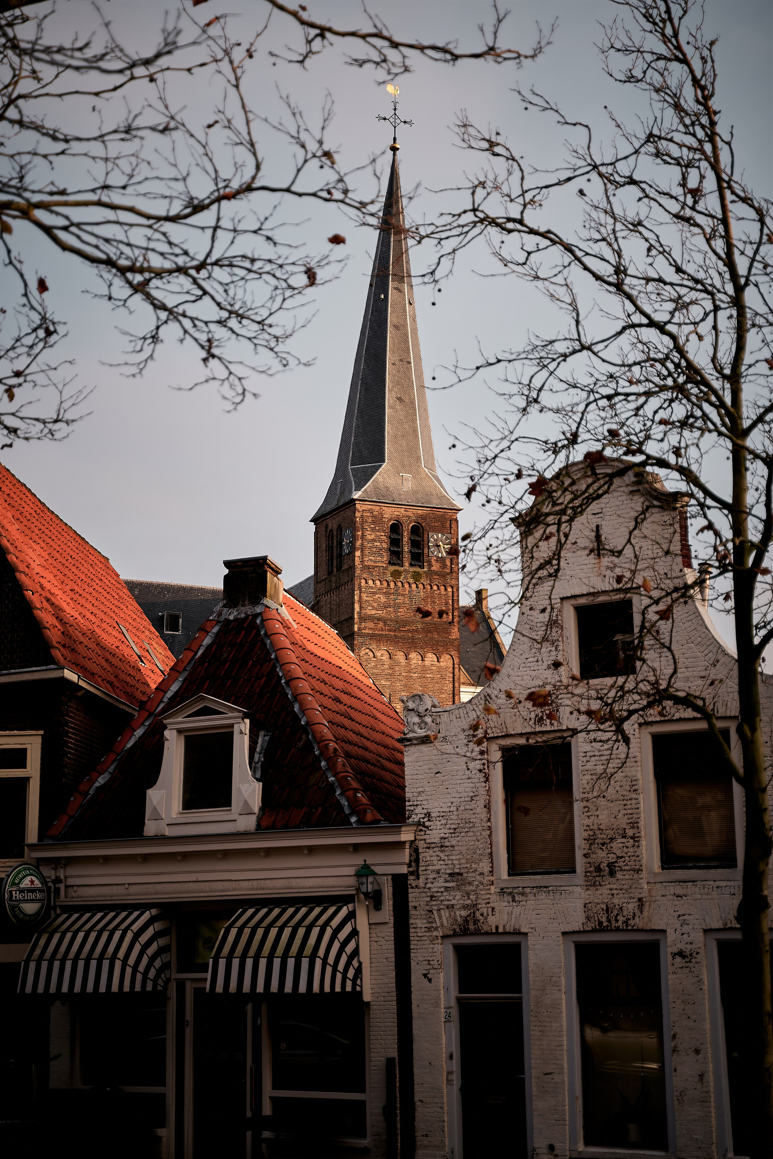 Netherlands. Denshyr — Visual Artist