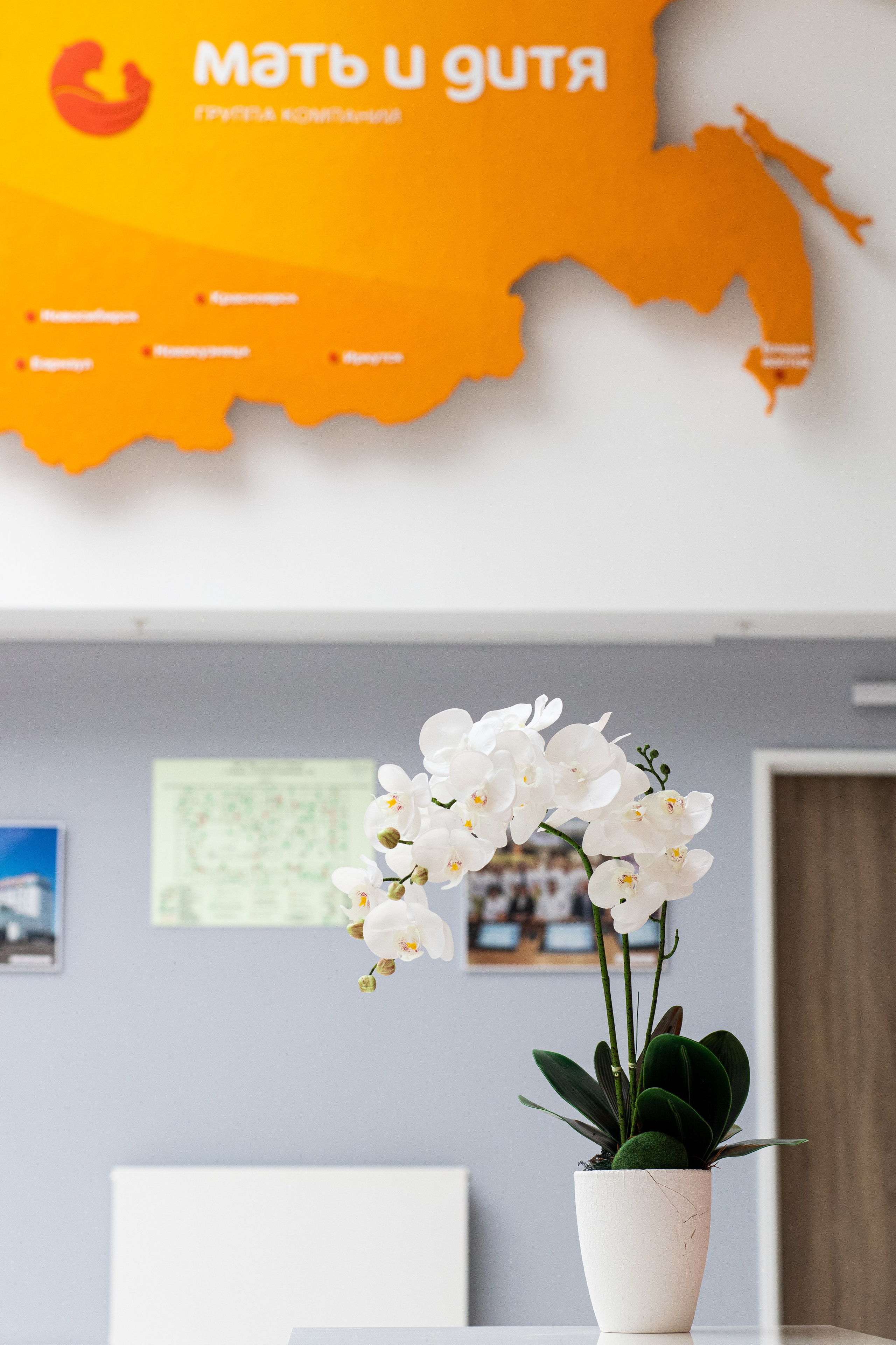 Business. Portrait and family photographer in Fort Collins Dania Gaisina