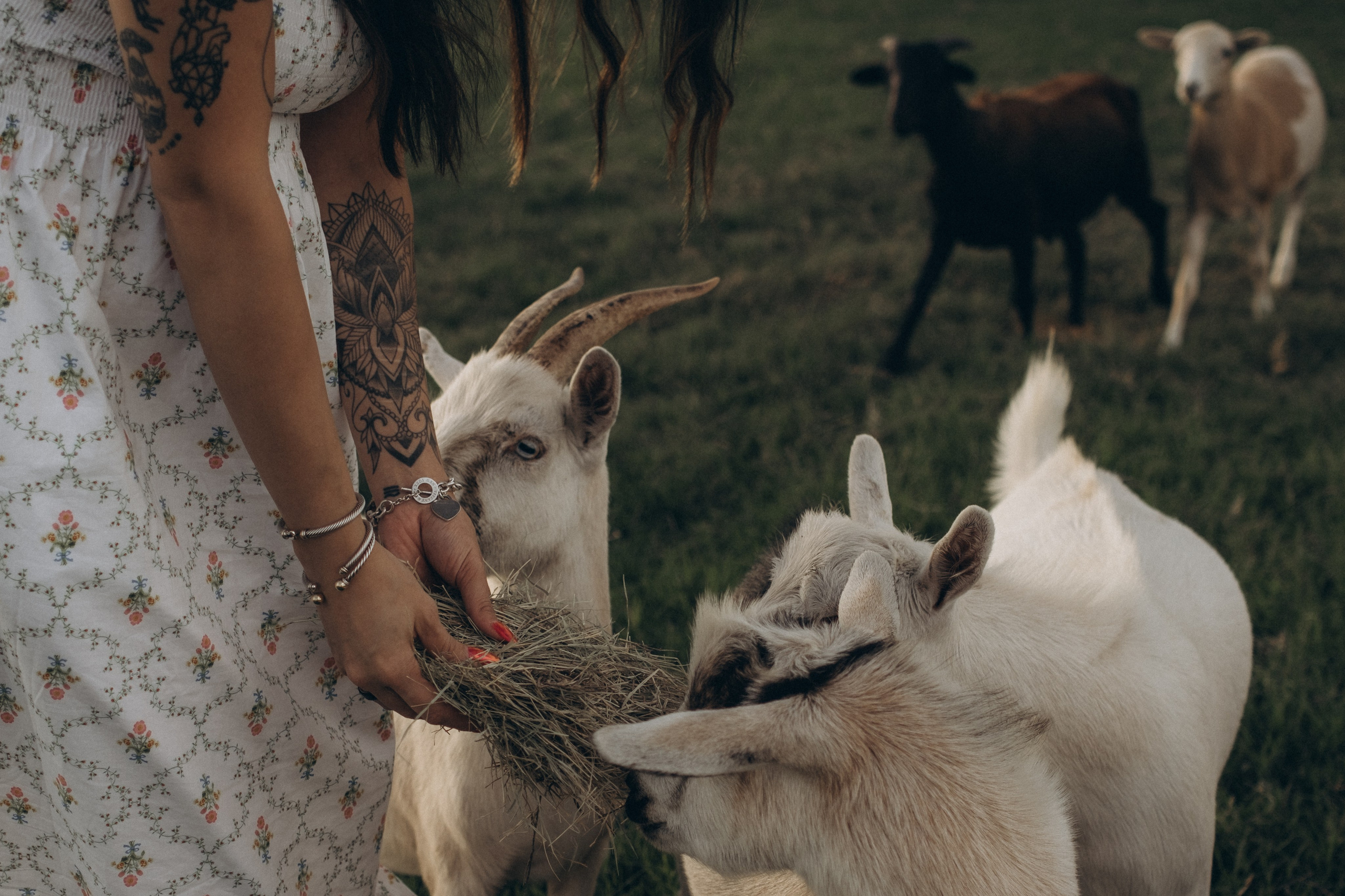 Summer Moments. Lens Captures Life