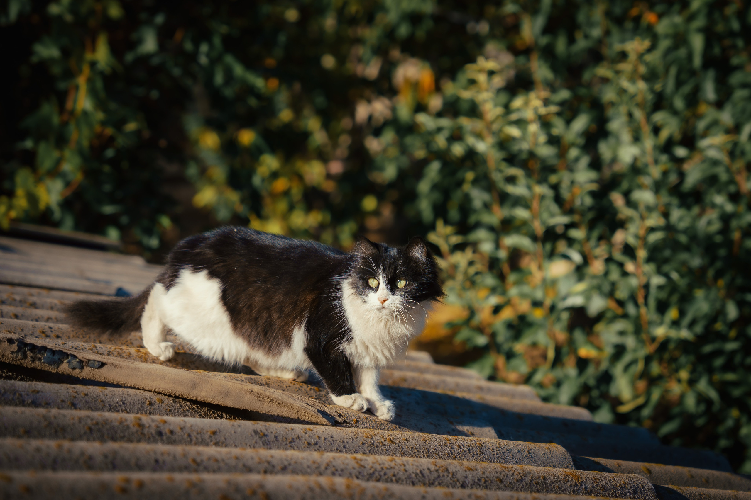 Стрит и Урбан. Георгий Намазов | Фотограф в Ташкенте
