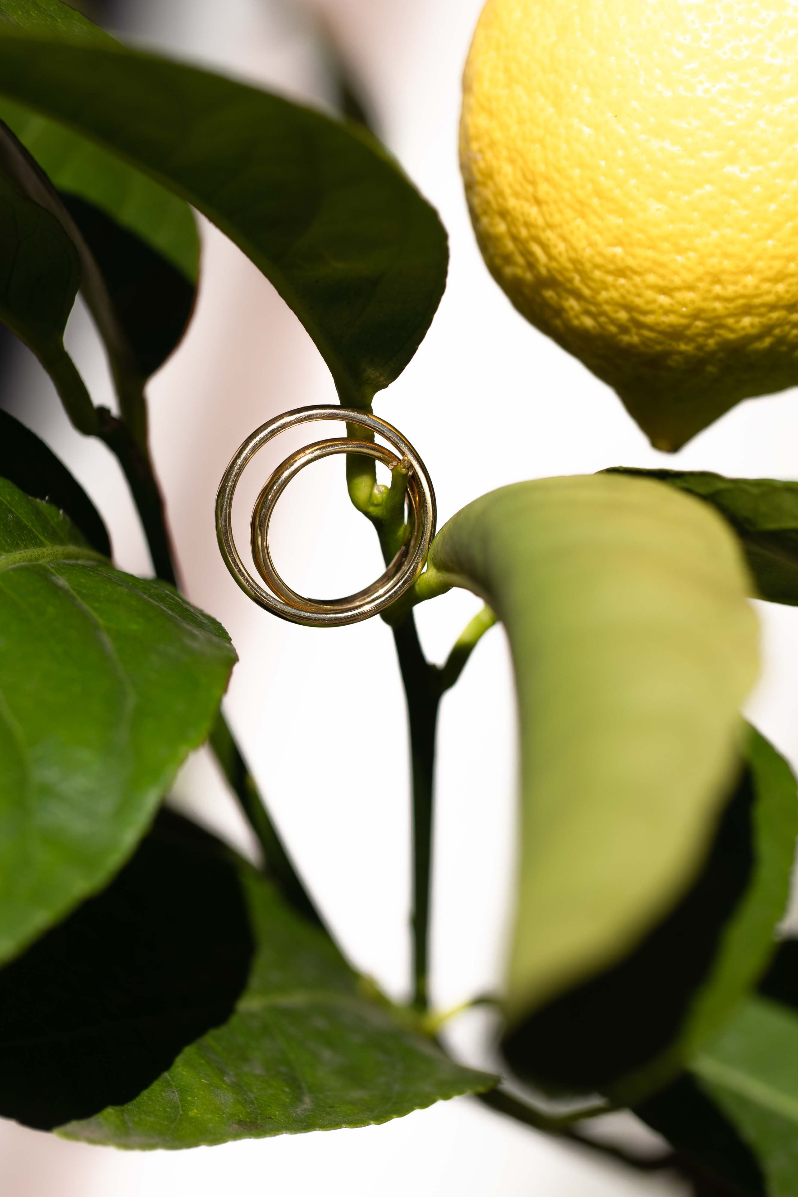 Poročna fofografija. Fotografinja in videografinja Mariia Bortiakova iz Slovenije: fotografiranje dogodkov, portretov in snemanje videov po vsej Sloveniji