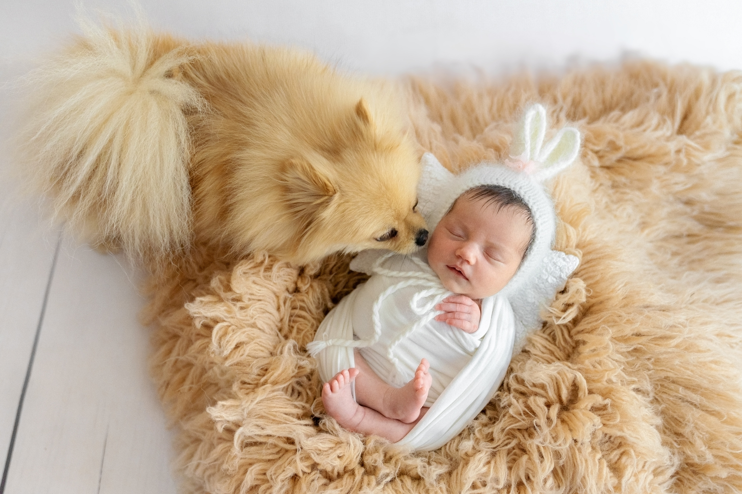 Newborn. Fotoshooting Hannover Region, Bremen, Hamburg Fotograf - Natalia Mruck