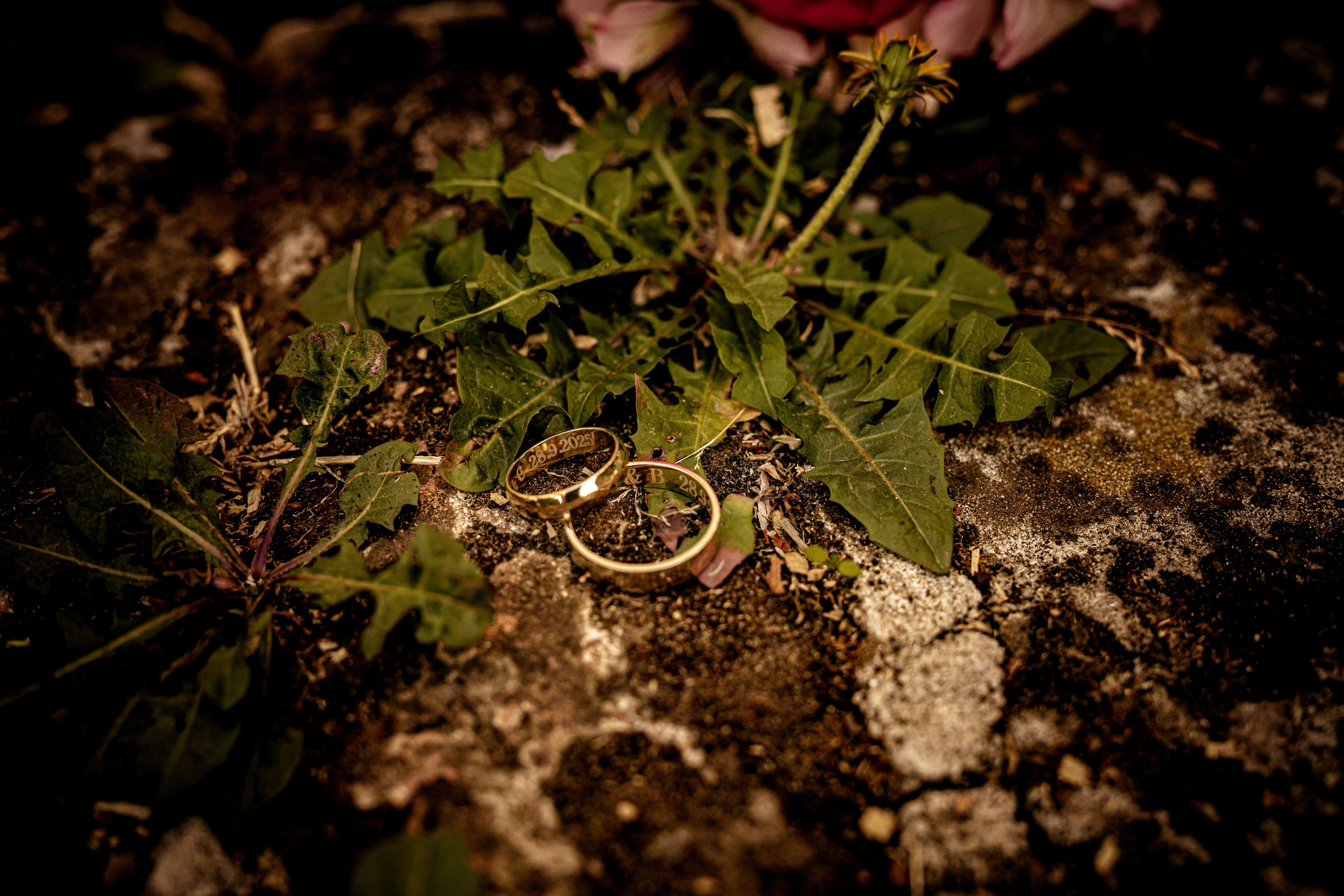 Sofija & Vladimir. Marko Tucić Photography | Fotograf Zrenjanin