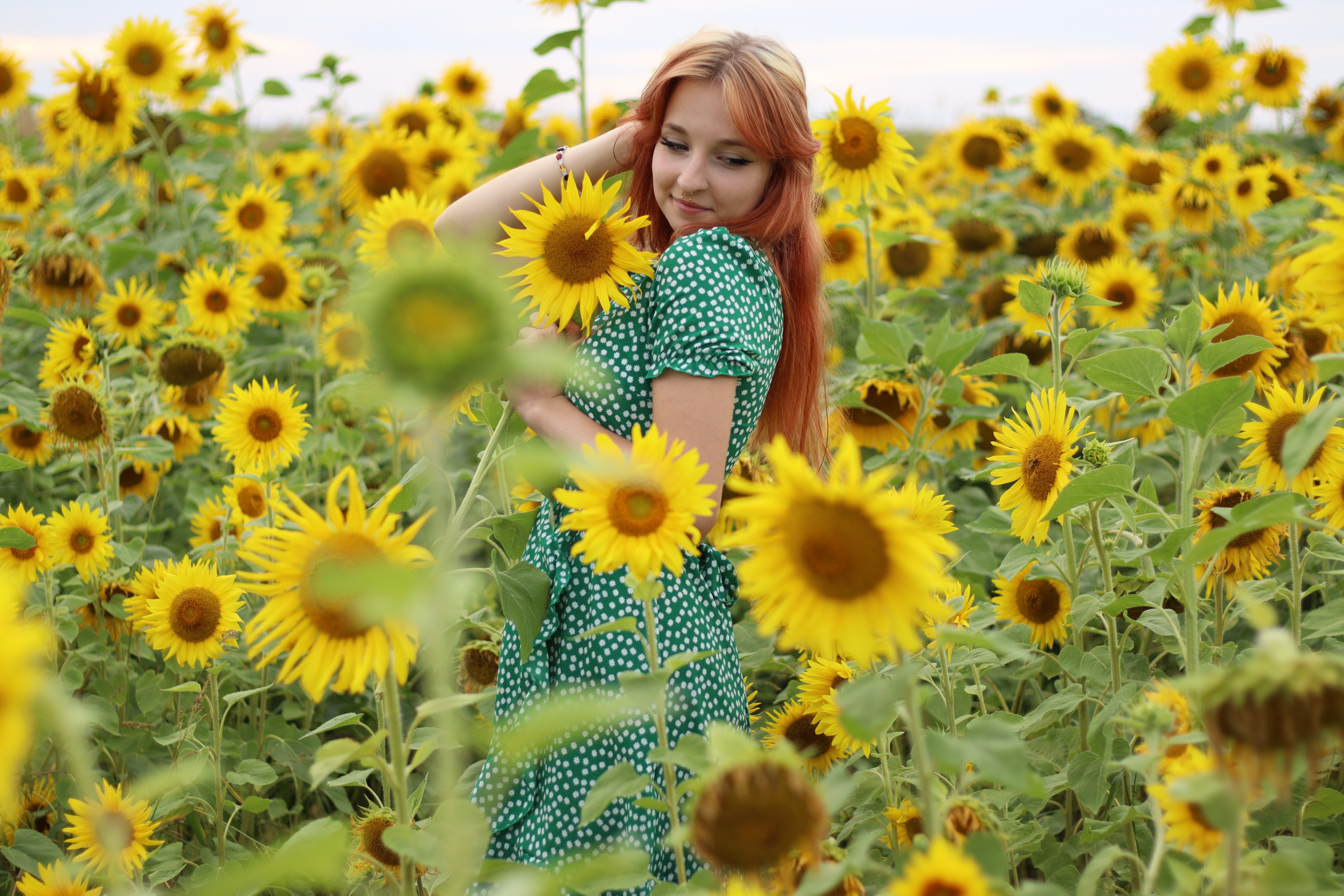 Фотосессия в подсолнухах. Фотограф / Даугавпилс / Ольга Антонова