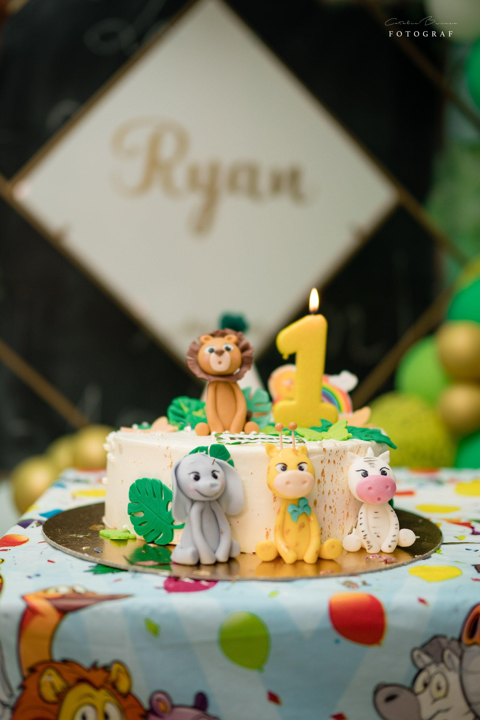 Taiere Mot — Ryan. Catalin Brinza