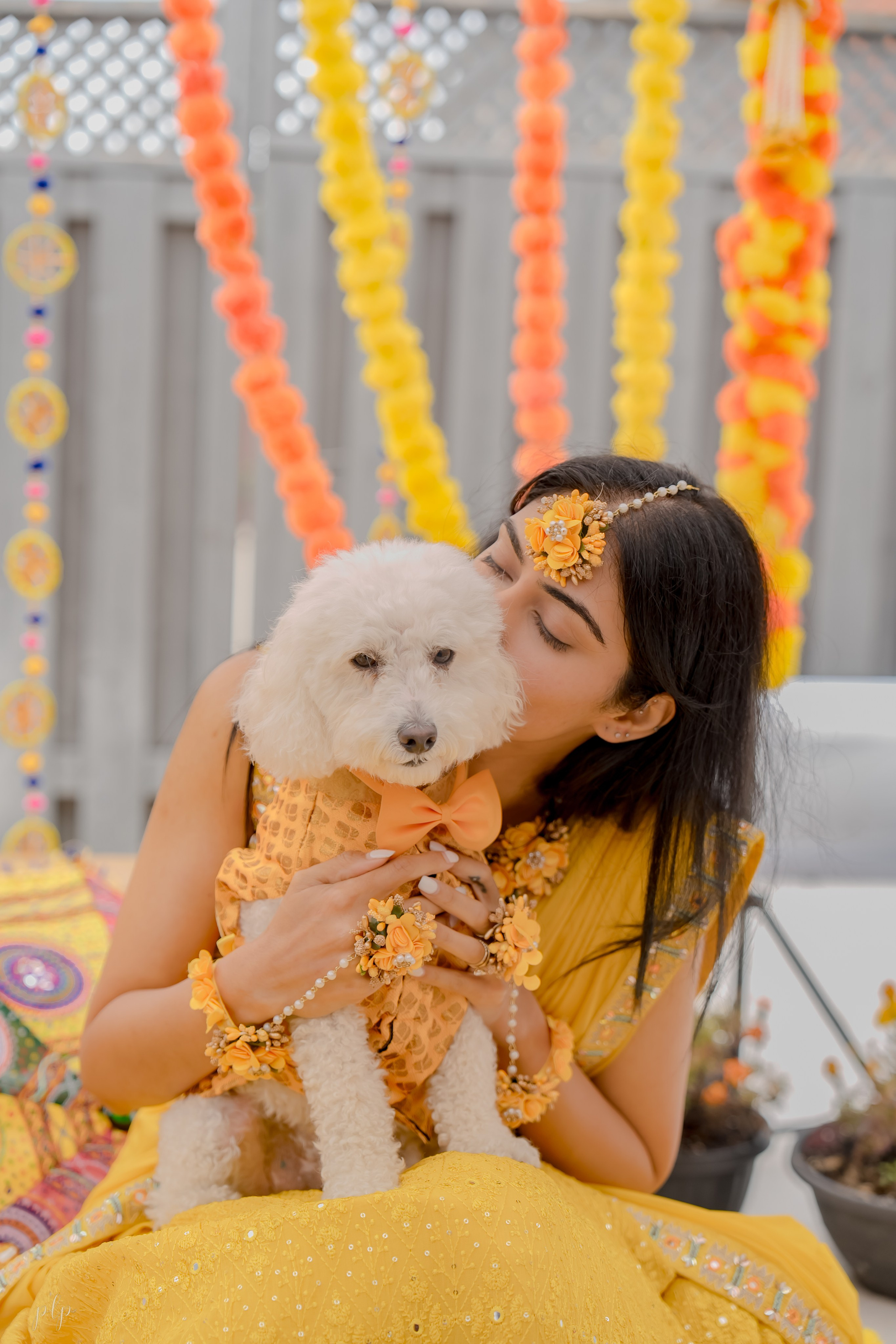 Kashish & Andrew. Wedding Photographers and Filmmakers