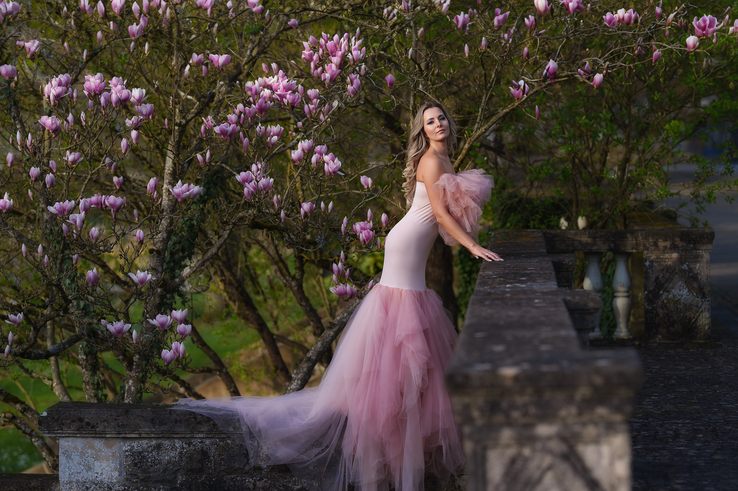 Magnolien. Familien, Lifestyle und Portrait Fotografin in Trier, Luxembourg