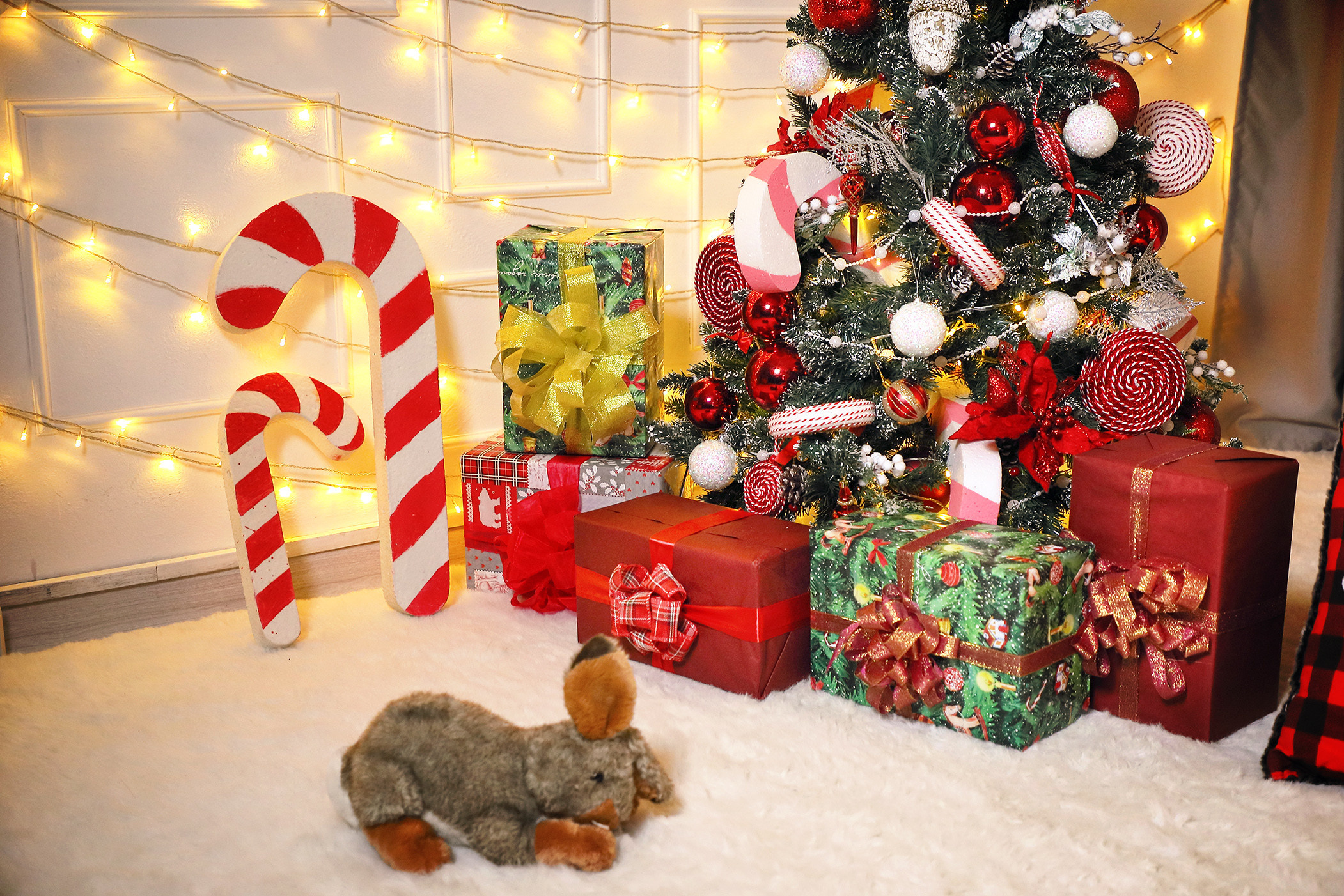 Фото зоны 2022. Свадебный, семейный и портретный фотограф в Бишкеке