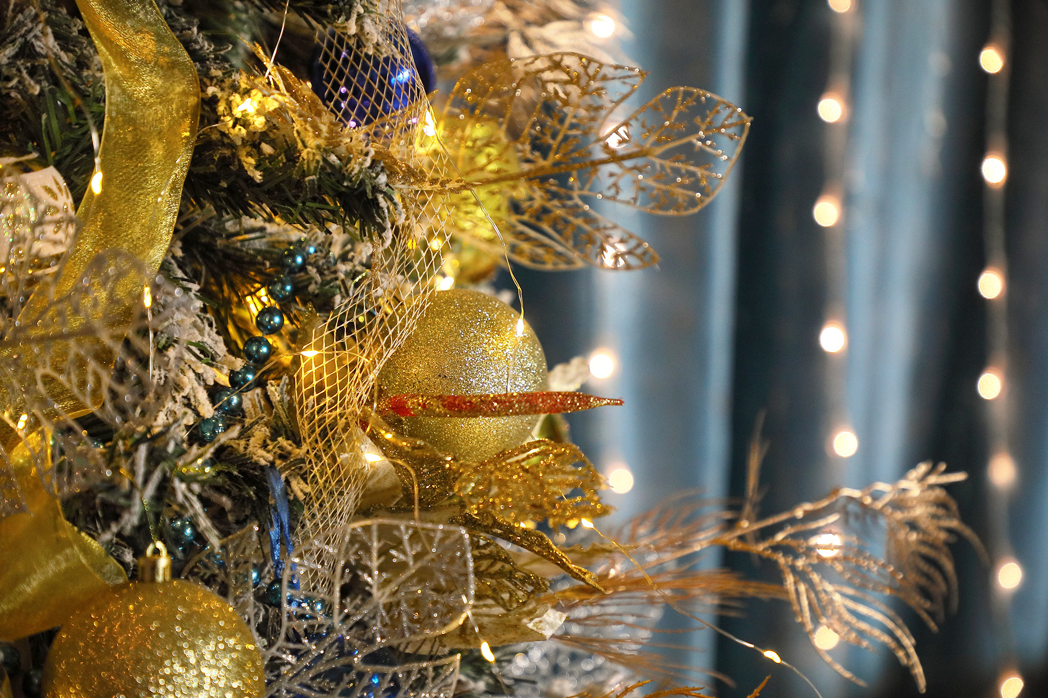 Фото зоны 2022. Свадебный, семейный и портретный фотограф в Бишкеке