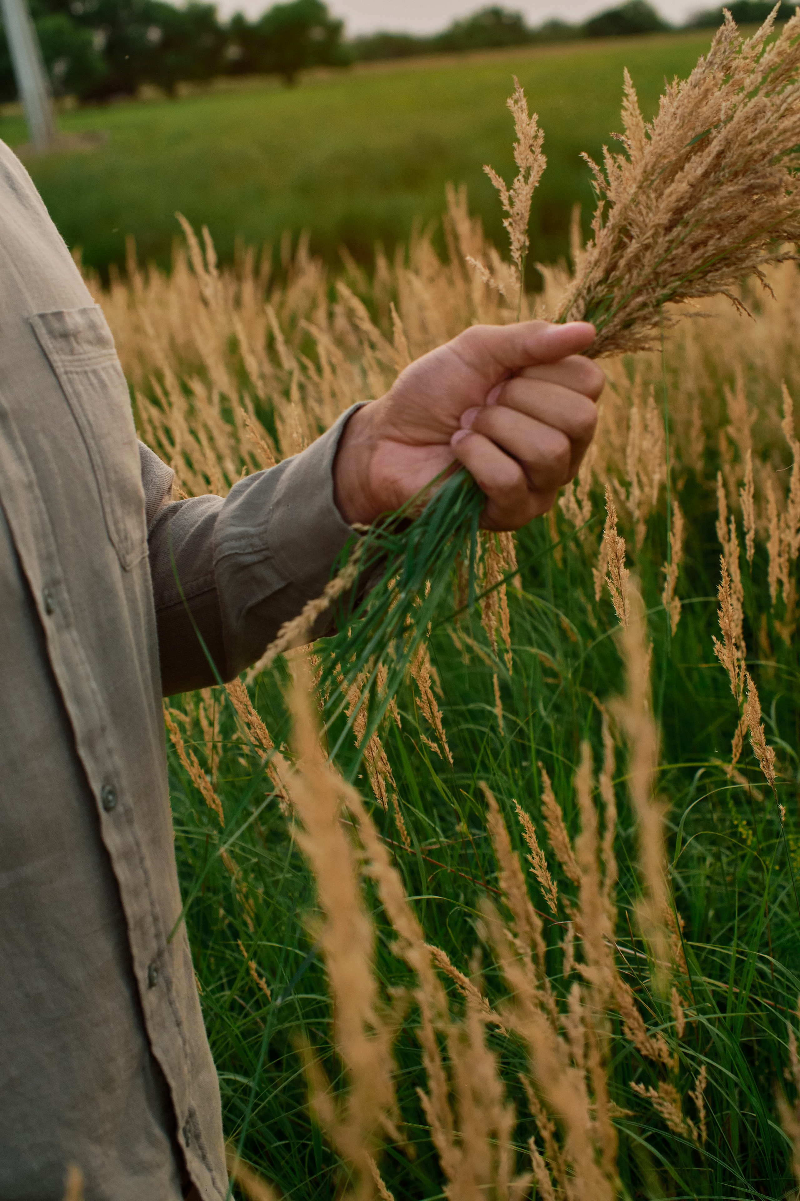 История о любви. Портретный и репортажный фотограф в Бишкеке Анастасия Якимова