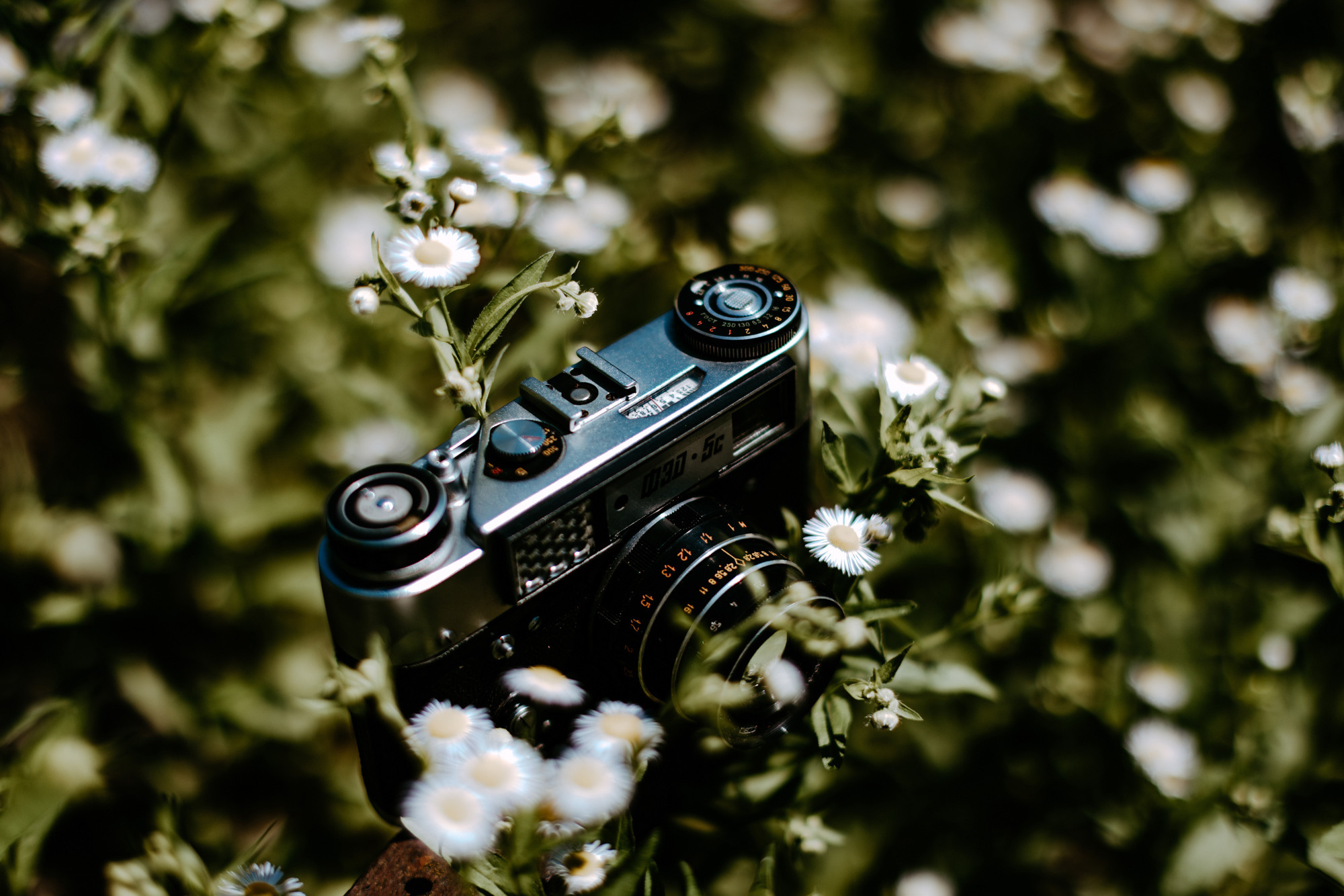 Vlad & Natalia. Φωτογράφος και βιντεογράφος γάμου