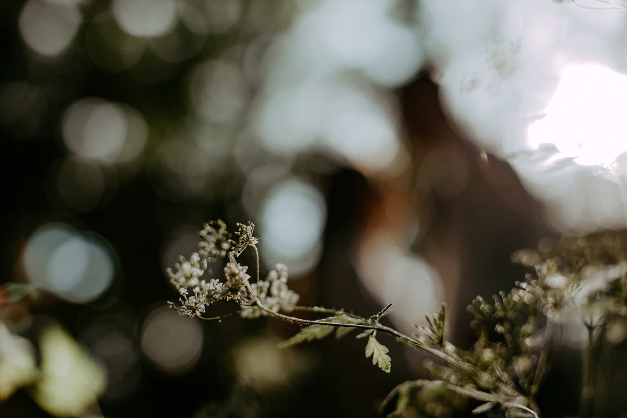 Vlad & Natalia. Φωτογράφος και βιντεογράφος γάμου